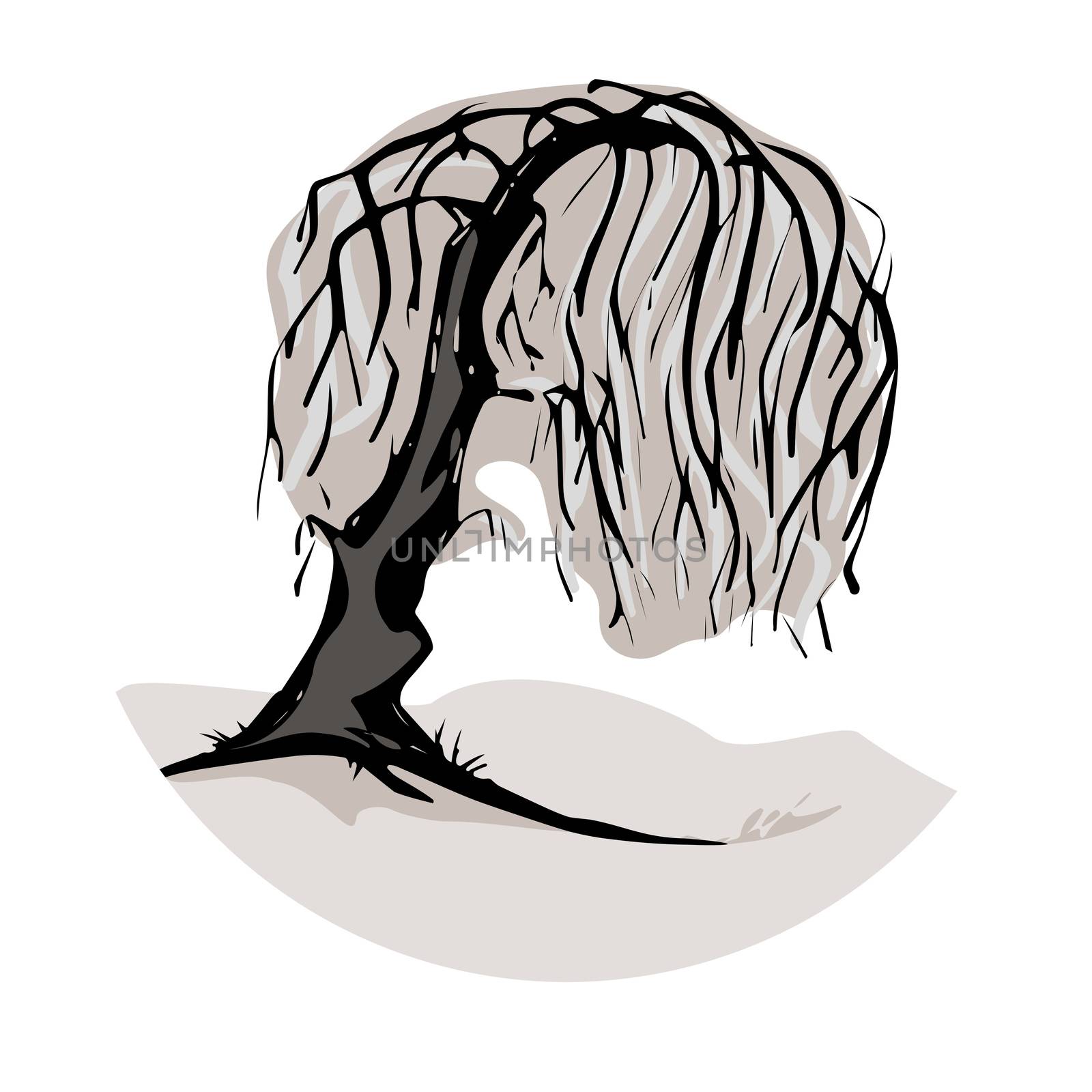 An illustration of a weeping willow tree symbol