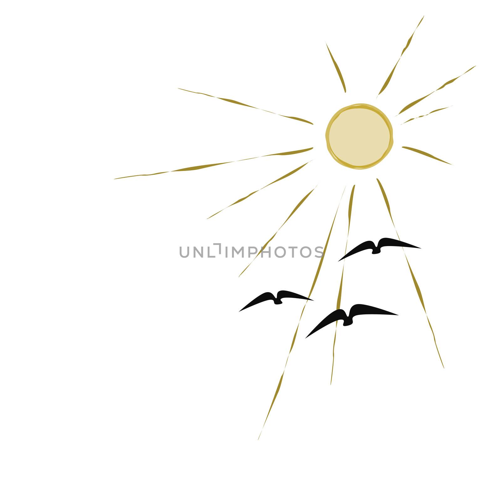 An illustration of birds flying to the sun