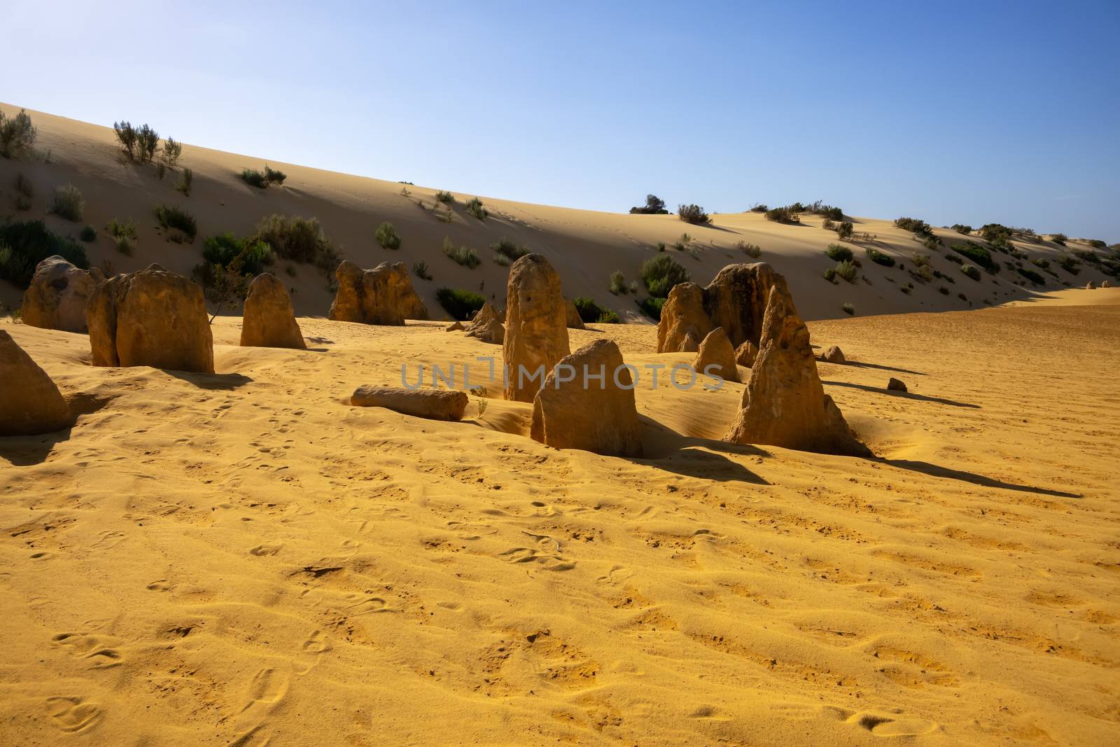 Pinnacles sand desert Western Australia by magann