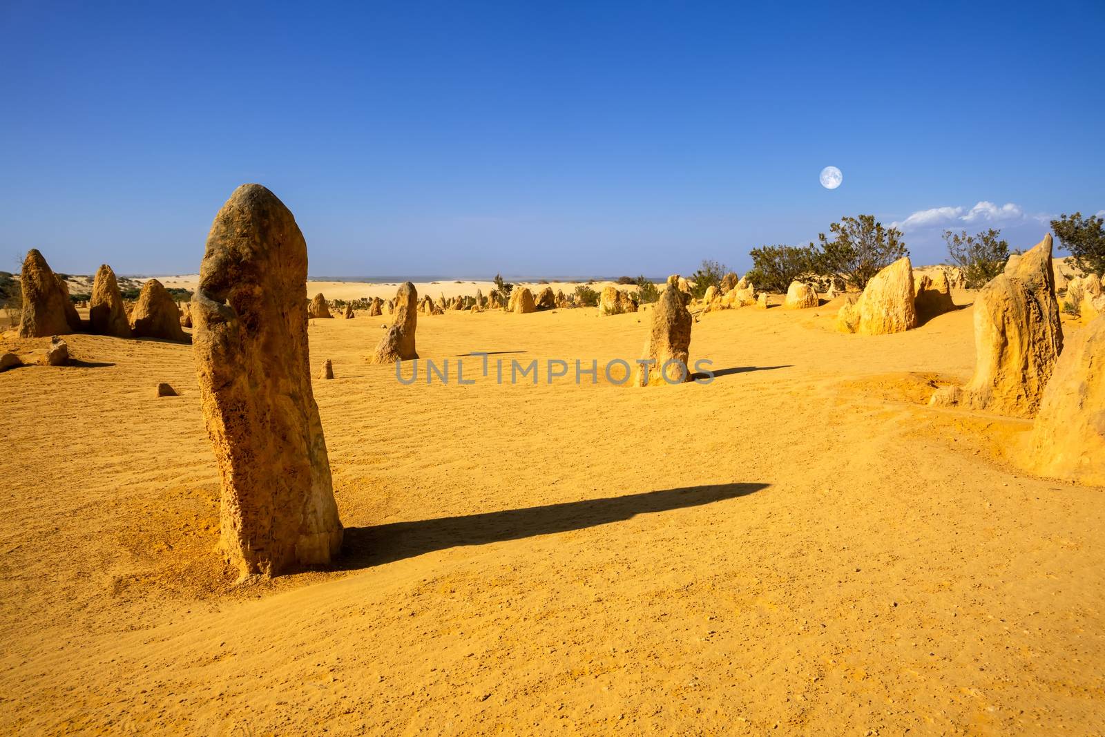 Pinnacles sand desert Western Australia by magann