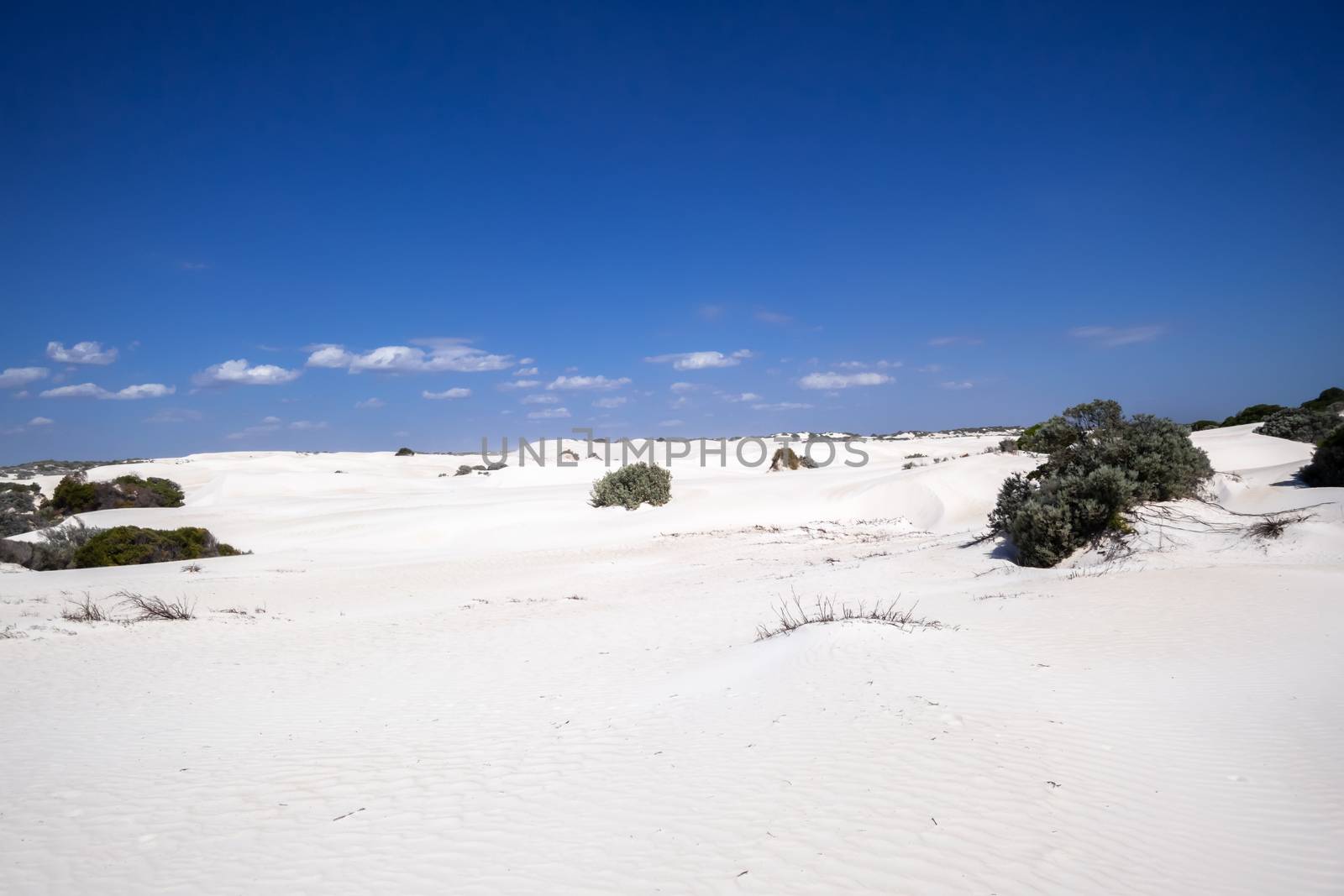 An image of white dune sand scenery western Australia