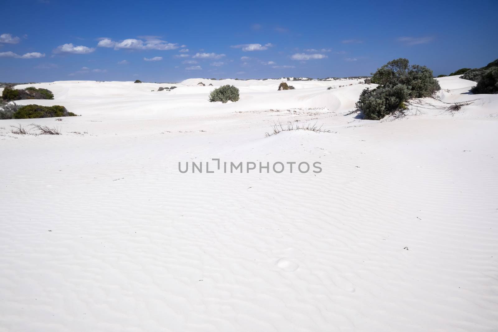 white dune sand scenery western Australia by magann