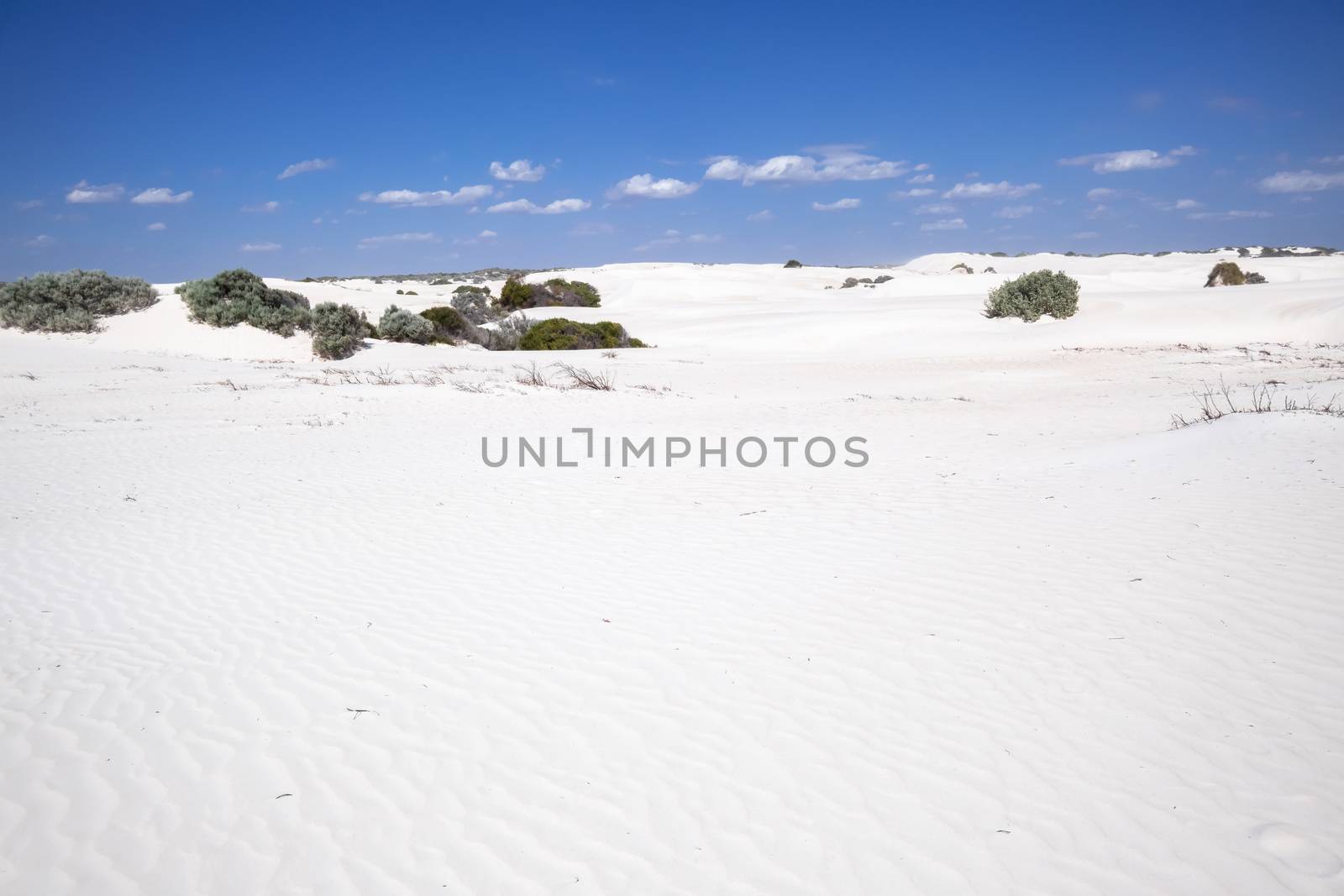 An image of white dune sand scenery western Australia