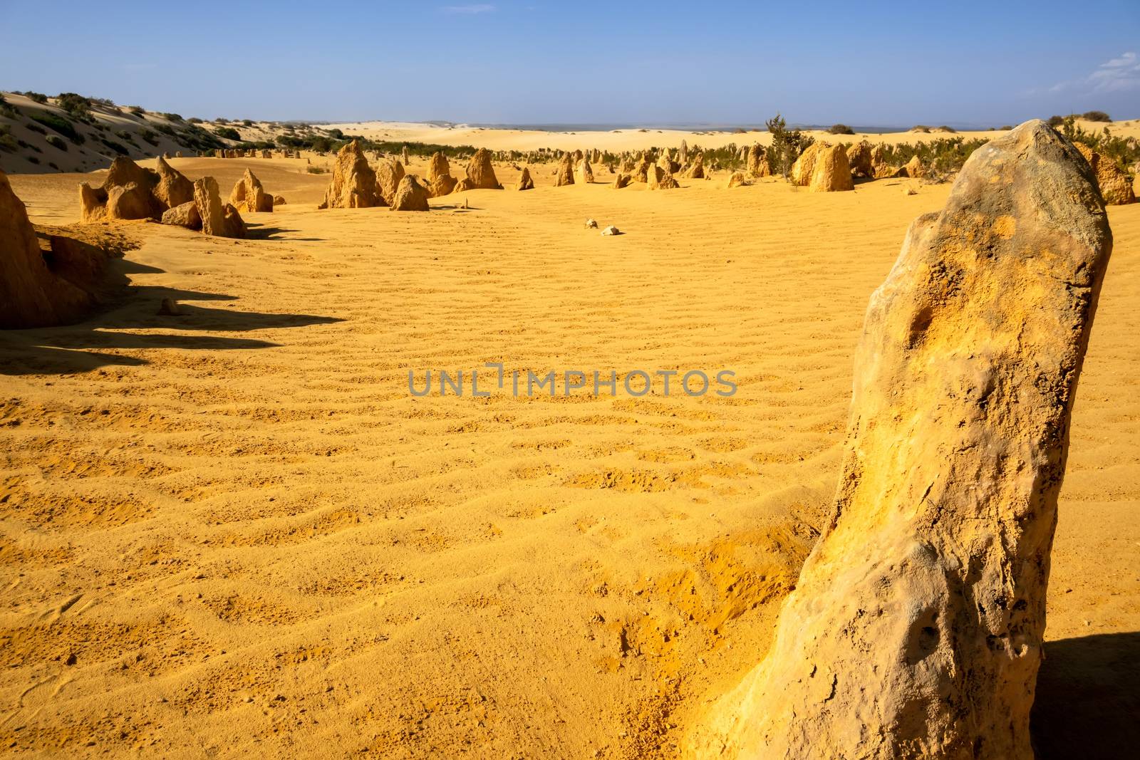 Pinnacles sand desert Western Australia by magann