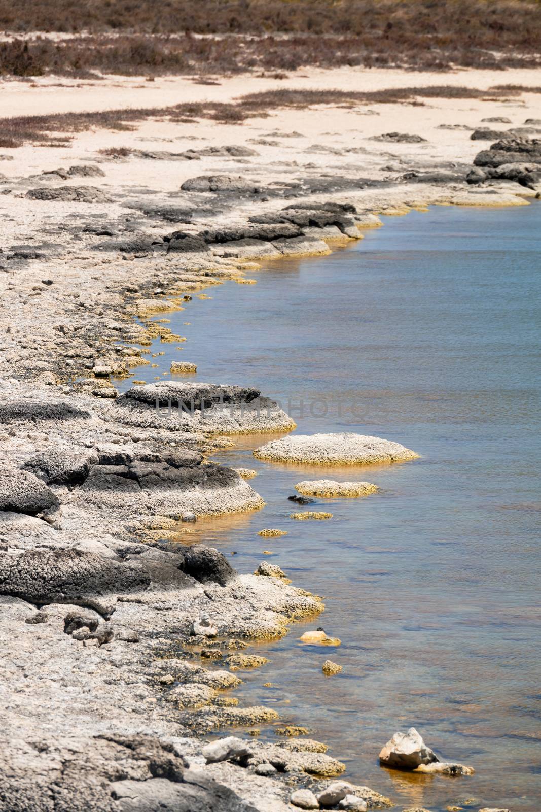 Stromatolites Lake Thetis Western Australia by magann