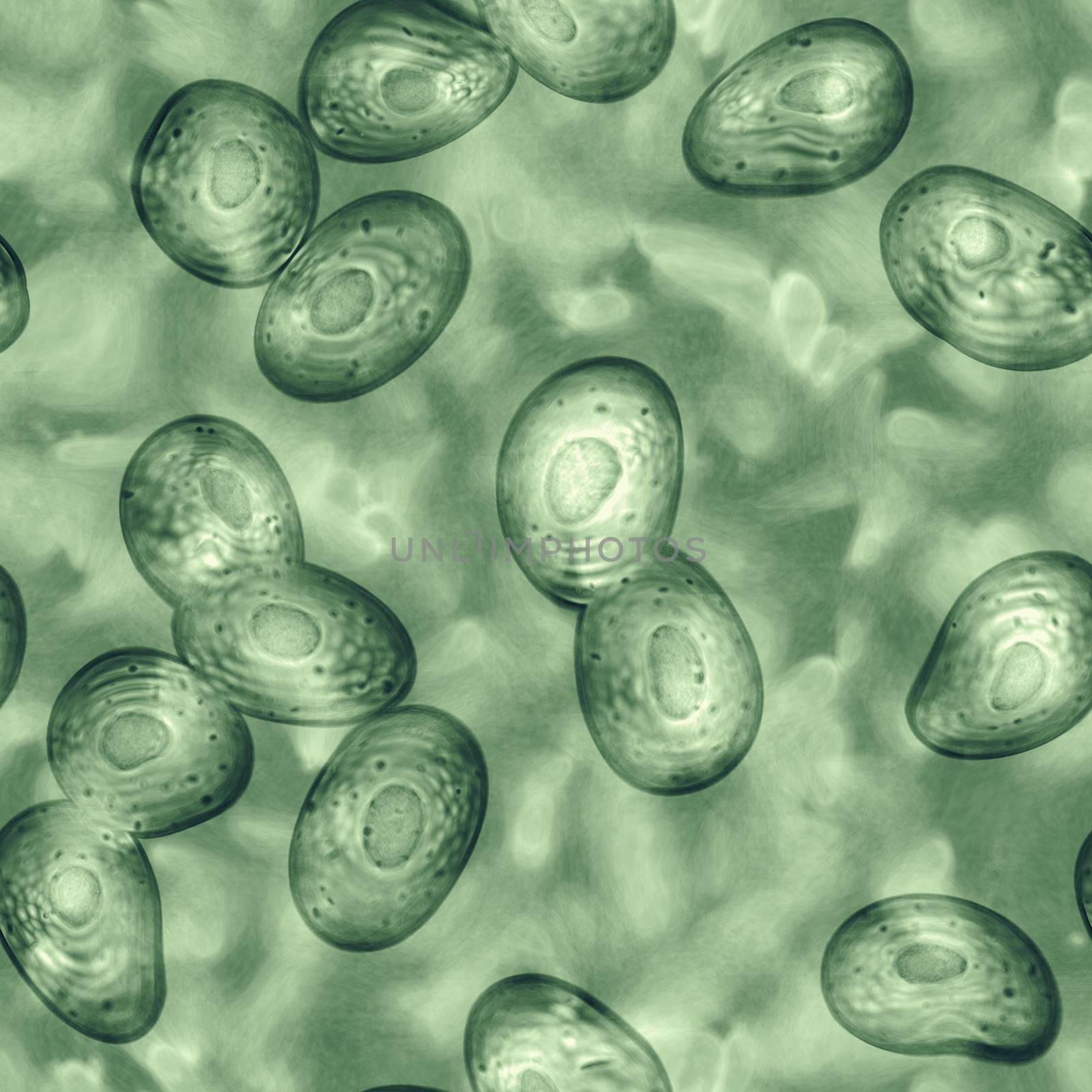 An illustration of a bacteria and germs seamless texture