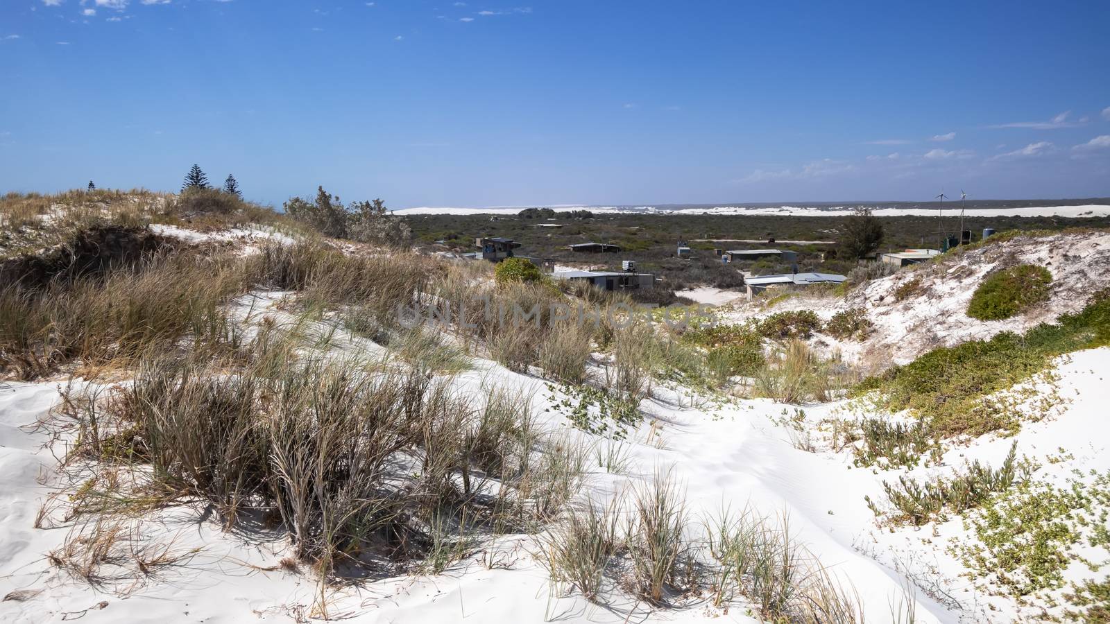 white dune sand scenery western Australia by magann