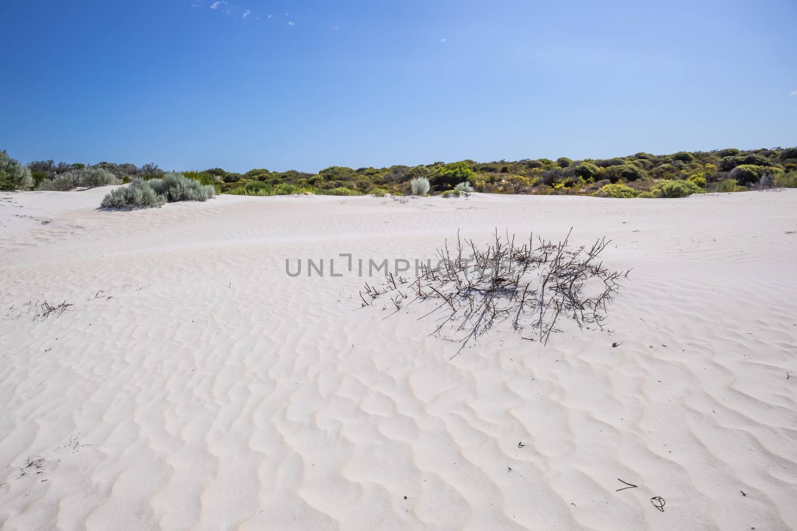 white dune sand scenery western Australia by magann