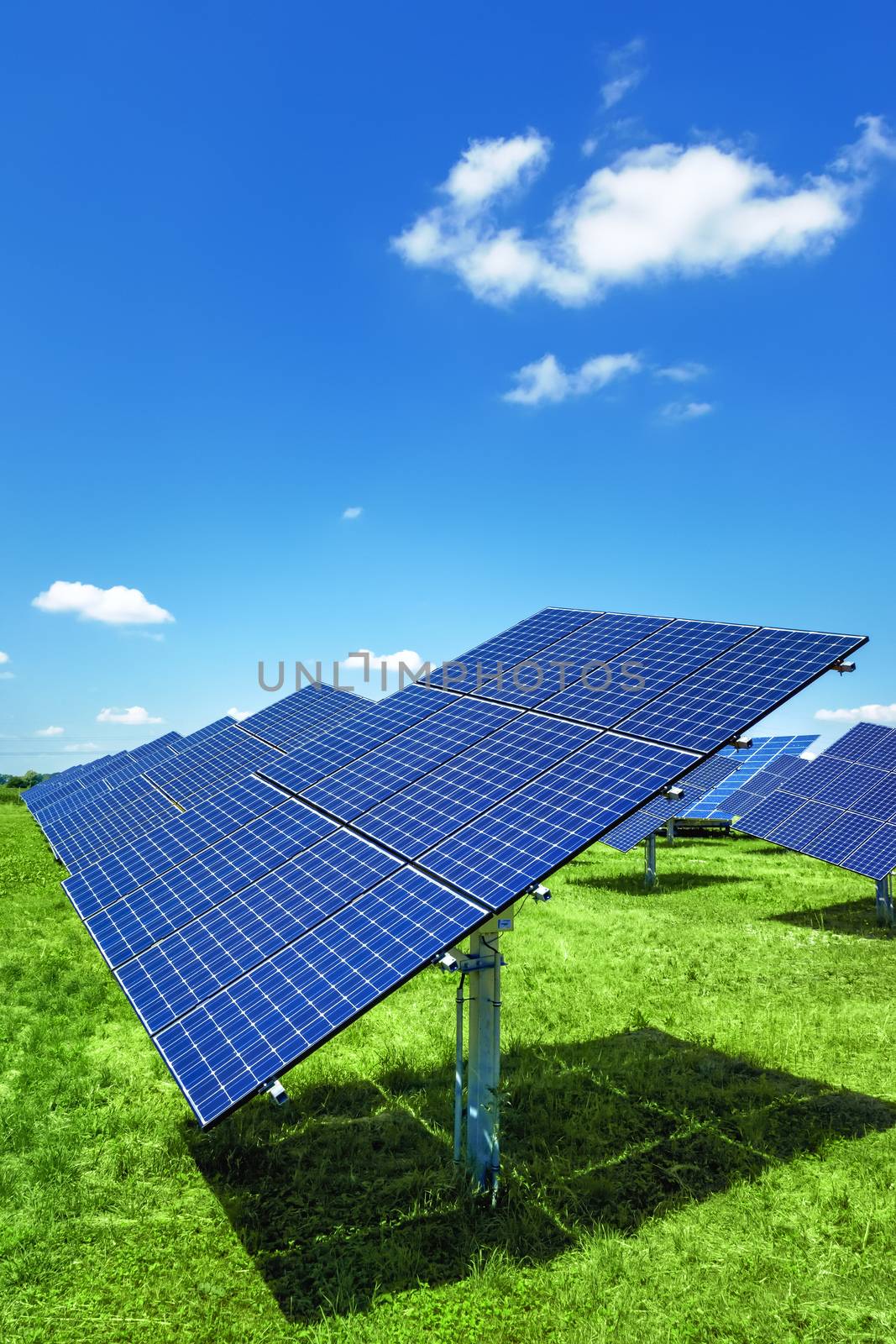 An image of a typical solar plant outdoors