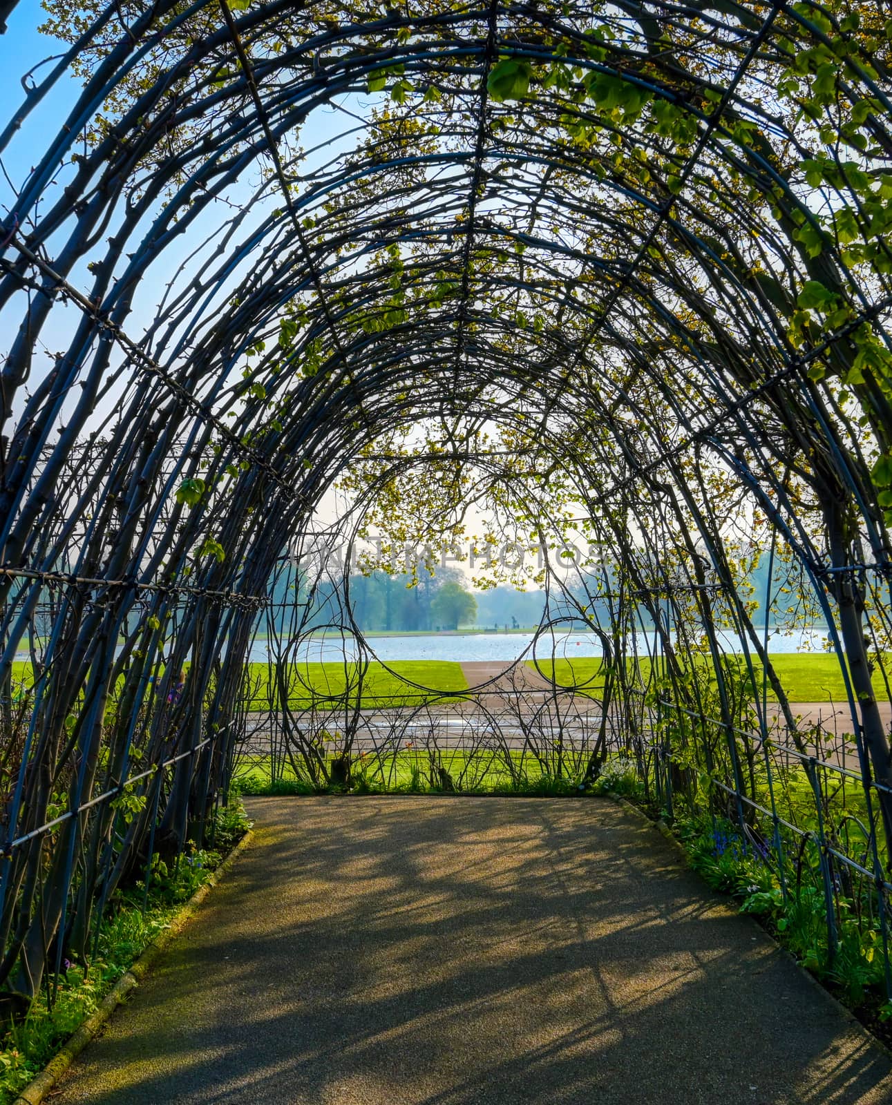 Spring in Hyde Park, London, United Kingdom by jbyard22