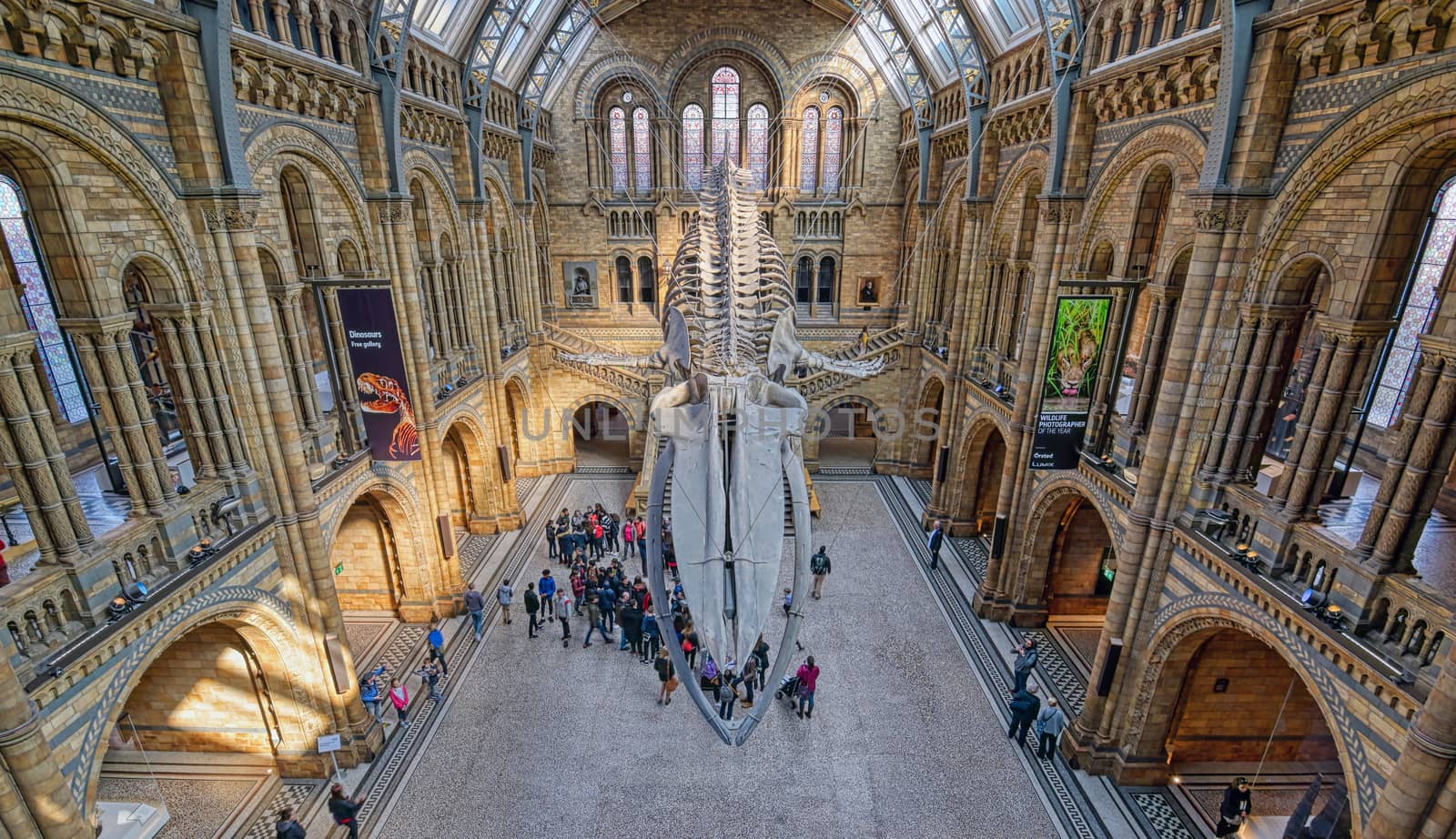 London, United Kingdom - April 17, 2019 - The interior of Natural History Museum and and whale skeleton in London, United Kingdom.