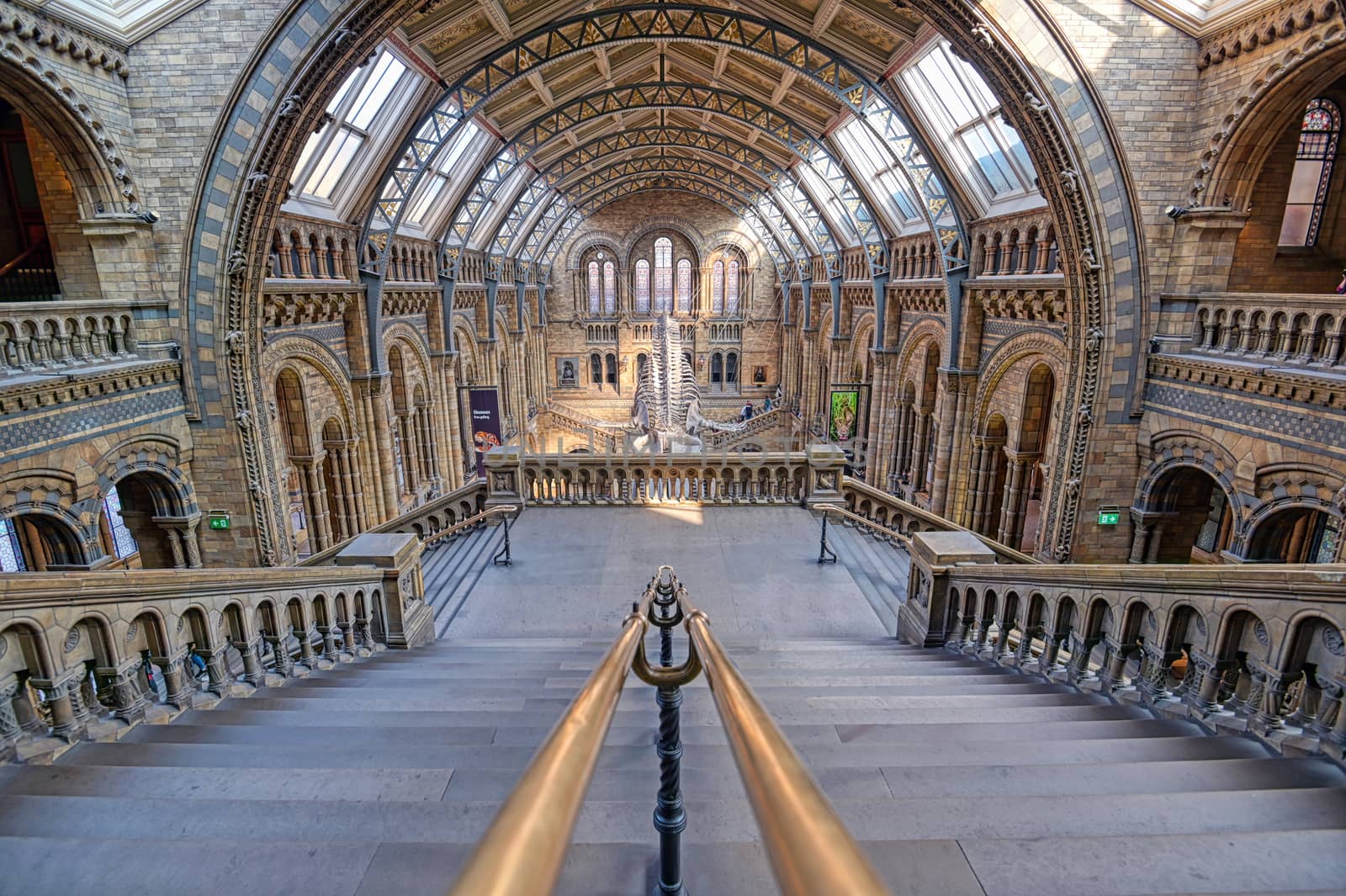 London, United Kingdom - April 17, 2019 - The interior of Natural History Museum and and whale skeleton in London, United Kingdom.