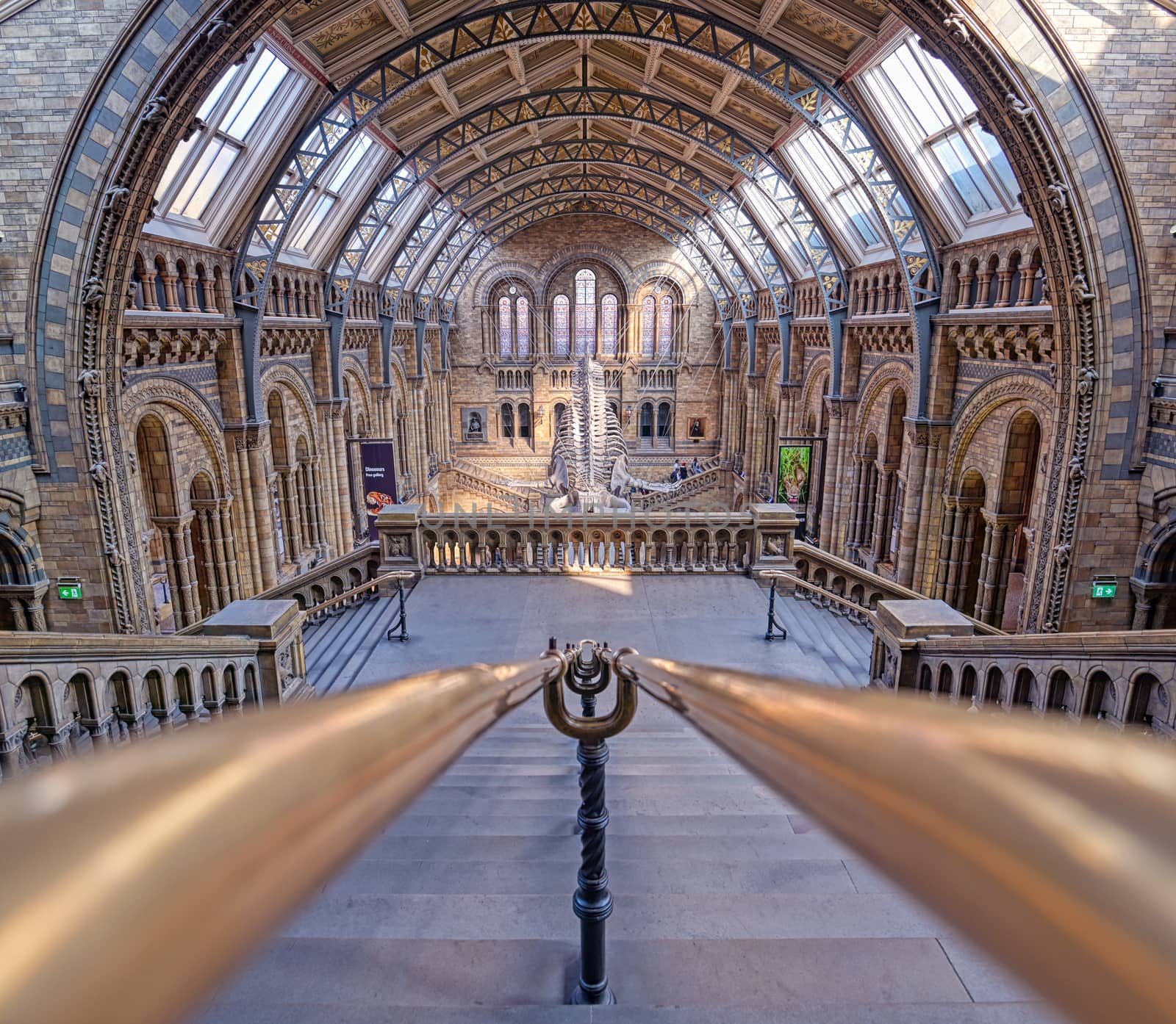 London, United Kingdom - April 17, 2019 - The interior of Natural History Museum and and whale skeleton in London, United Kingdom.