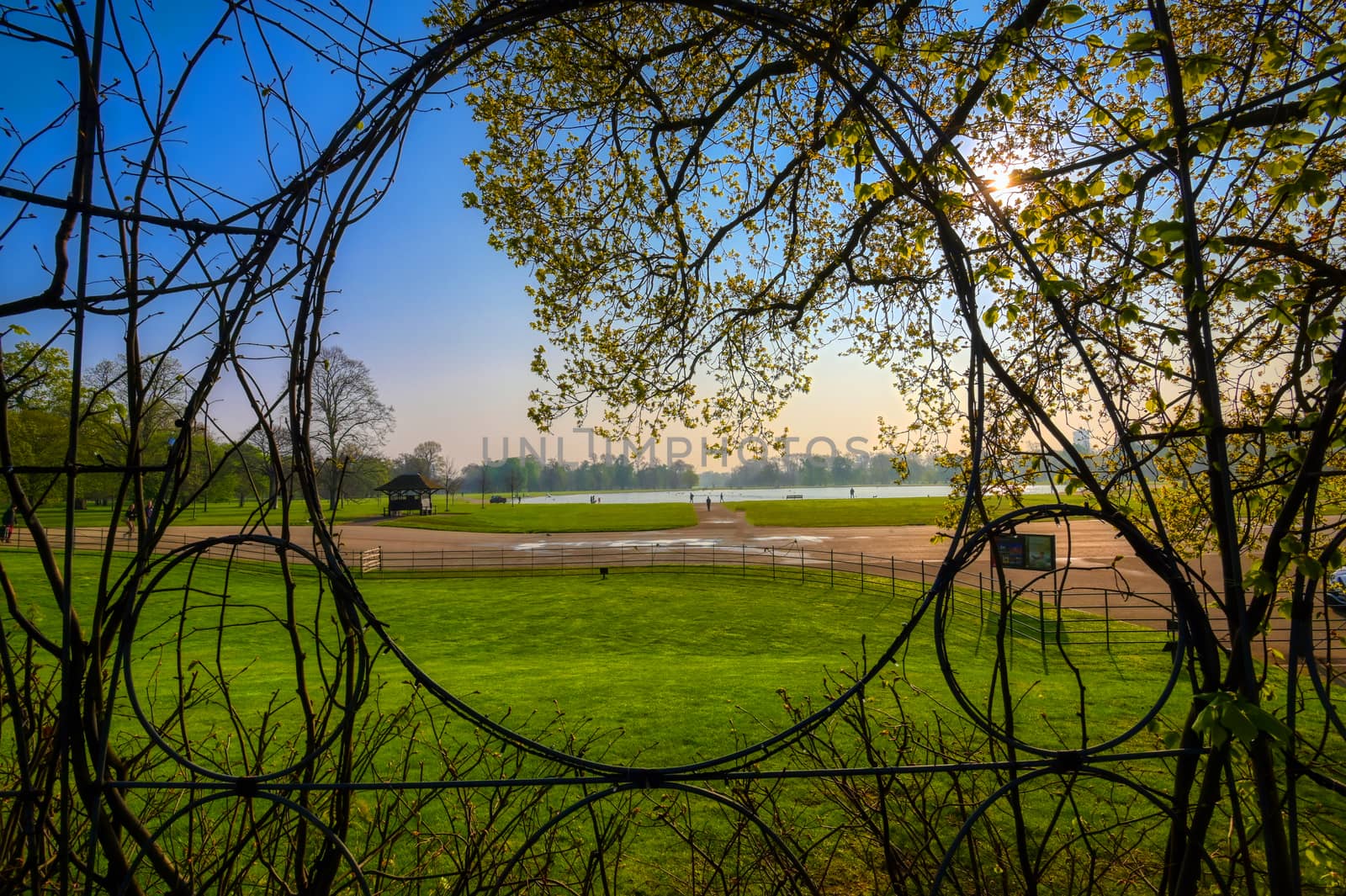 Spring in Hyde Park, London, UK by jbyard22