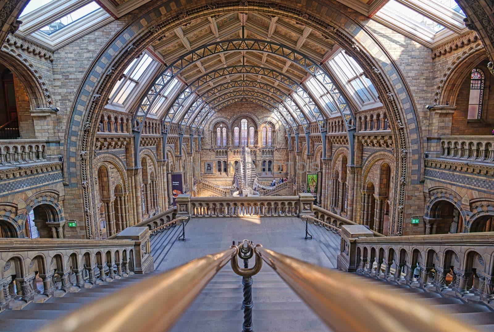 London, United Kingdom - April 17, 2019 - The interior of Natural History Museum and and whale skeleton in London, United Kingdom.