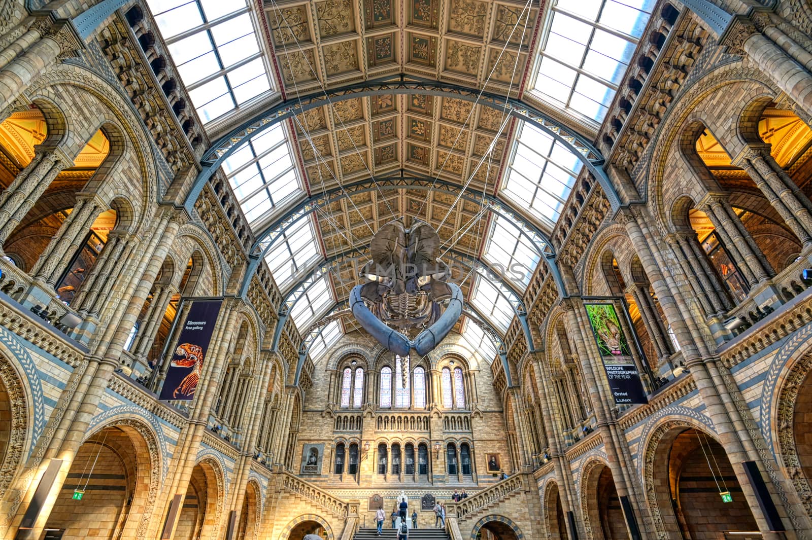 London, United Kingdom - April 17, 2019 - The interior of Natural History Museum and and whale skeleton in London, United Kingdom.