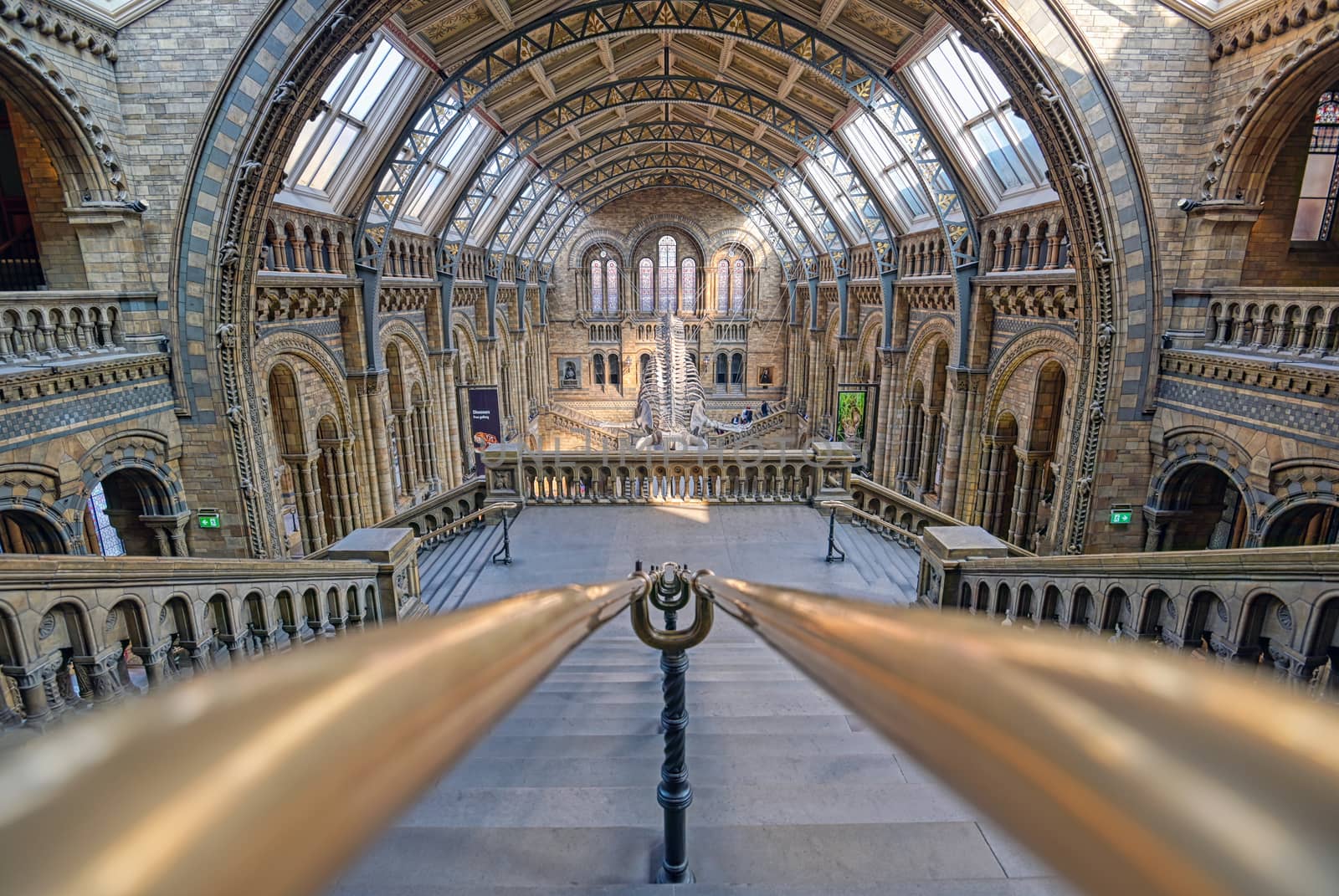 London, United Kingdom - April 17, 2019 - The interior of Natural History Museum and and whale skeleton in London, United Kingdom.