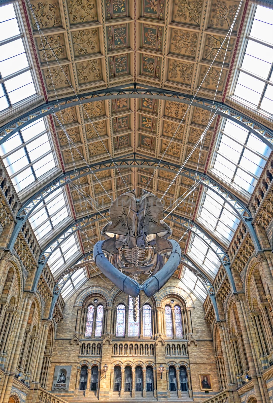 London, United Kingdom - April 17, 2019 - The interior of Natural History Museum and and whale skeleton in London, United Kingdom.