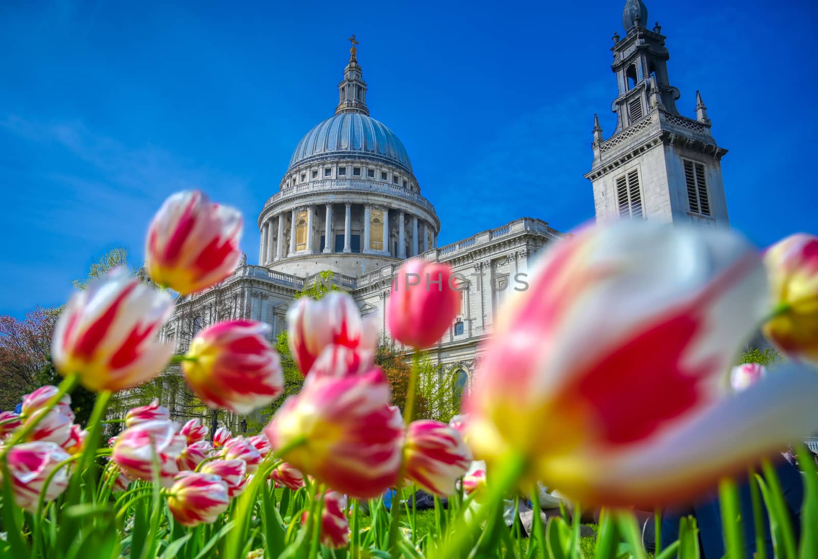 St. Paul's Cathedral in London, UK by jbyard22