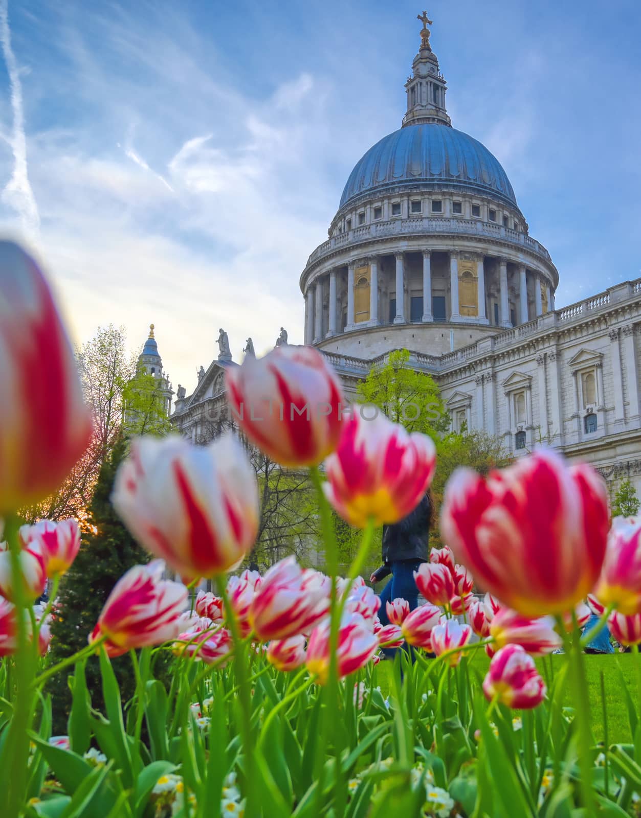 St. Paul's Cathedral in London, UK by jbyard22