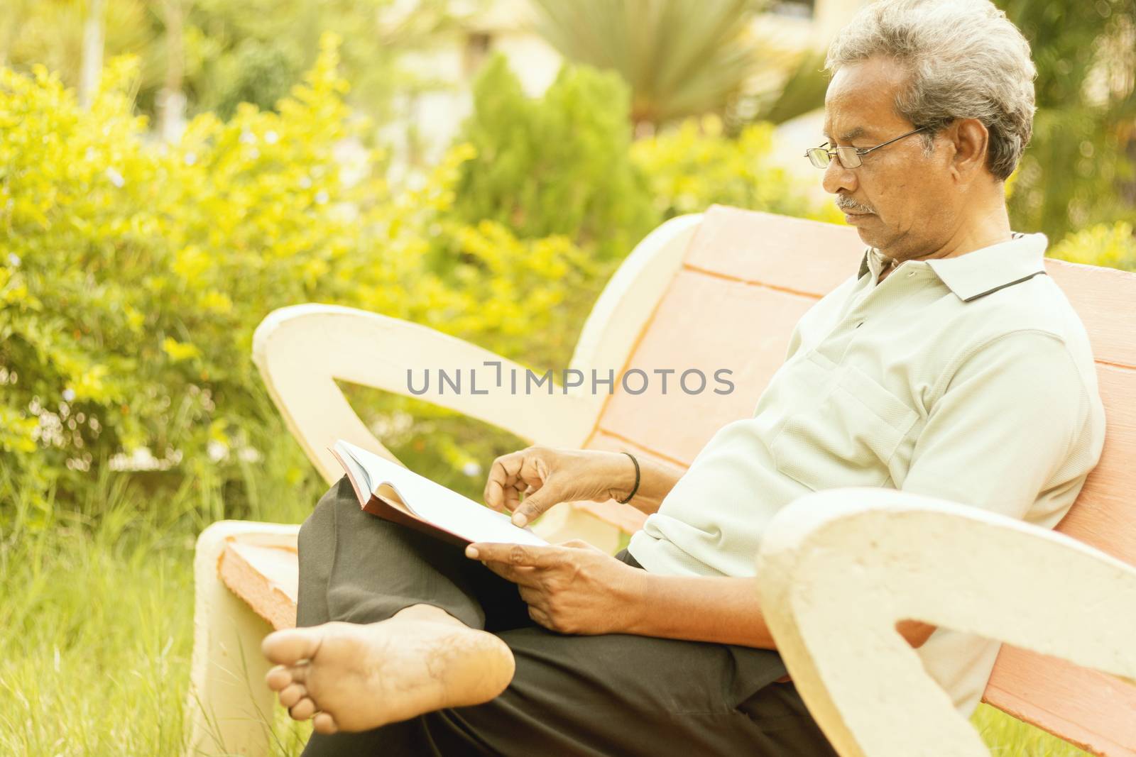Healthy looking senior man in late 70s sitting in garden at home and reading book, outdoor - old man relaxing at Park by seriously reading book