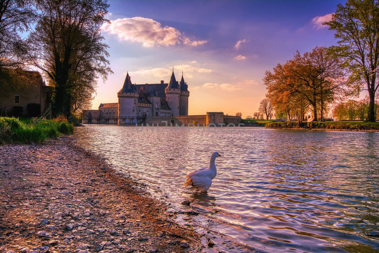 Sully Sur Loire, France - April 13, 2019: Famous medieval castle Sully sur Loire at sunset, Loire valley, France. The chateau Sully sur Loire dates from the end of the 14th century and is a prime example of medieval fortress.