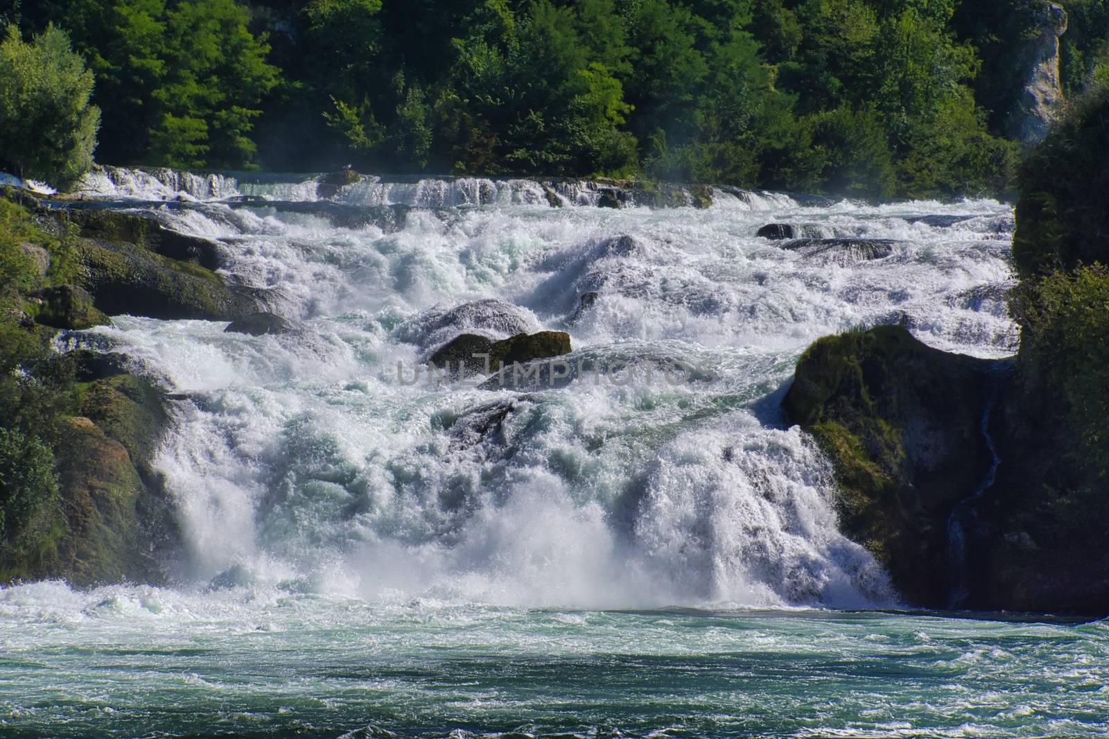 the famous rhine falls in the swiss near the city of Schaffhausen - sunny day and blue sky