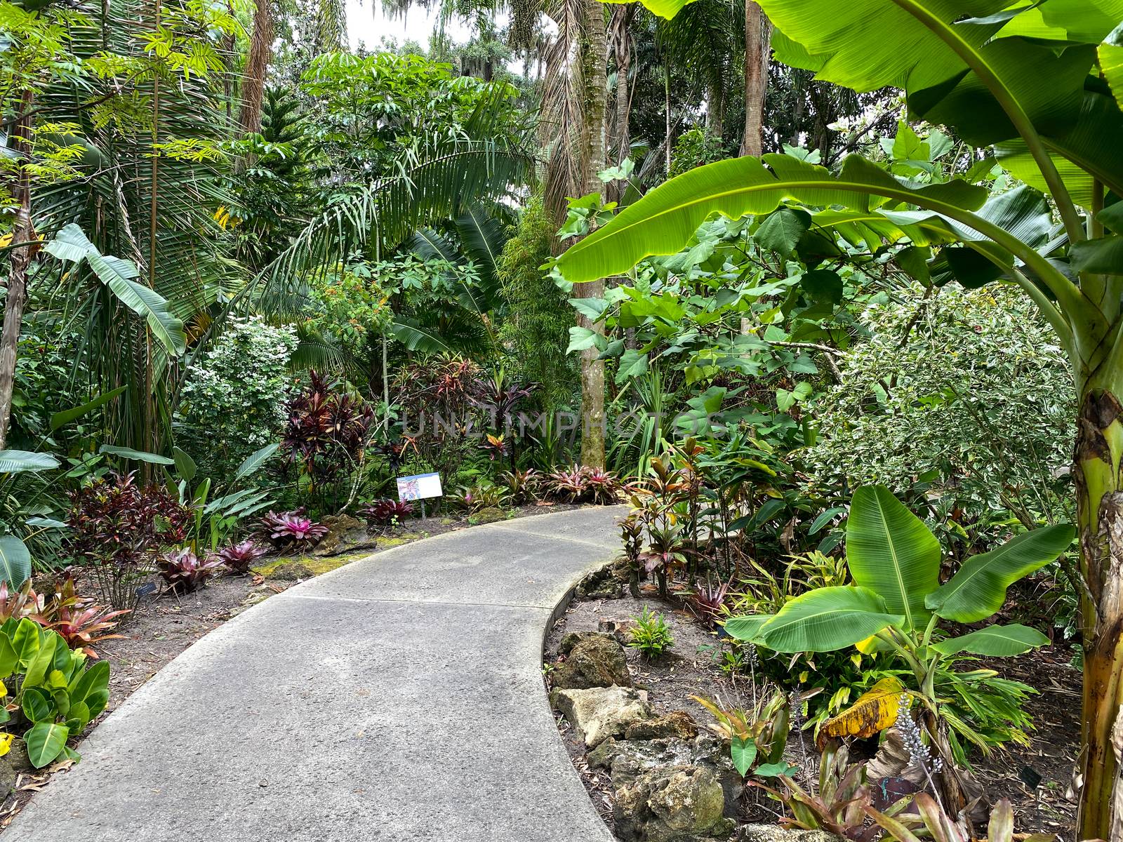 The sidewalk through a botanical garden. by Jshanebutt