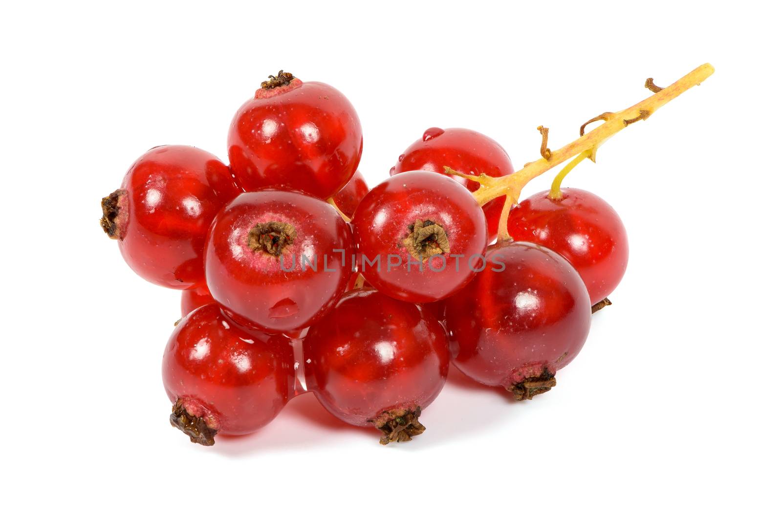 Closeup of bunch of red currants isolated on white background with clipping path