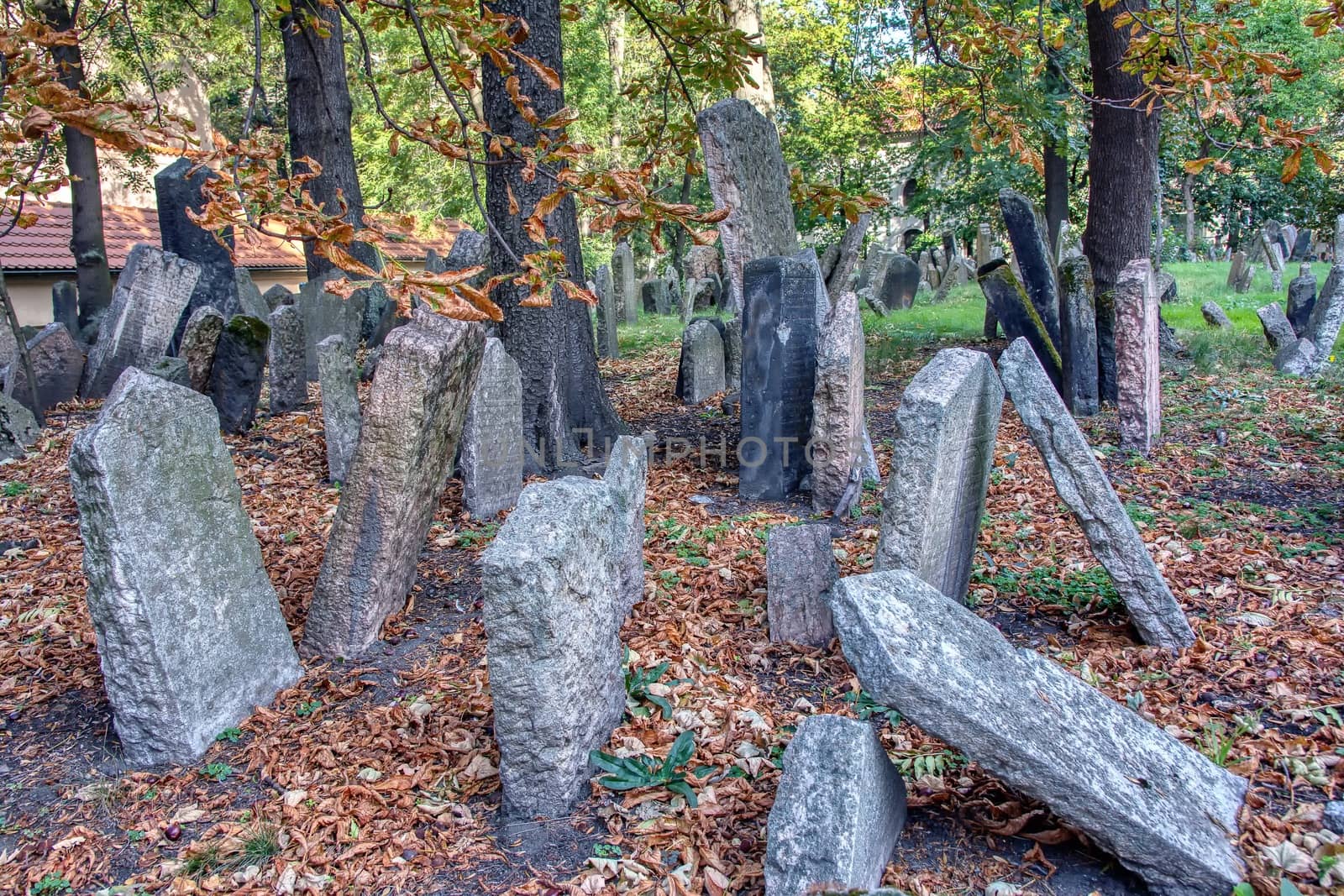 Tombstones on Old Jewish Cemetery in the Jewish Quarter in Prague. by CreativePhotoSpain