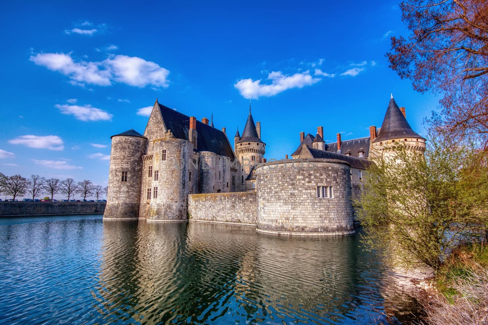 Famous medieval castle Sully sur Loire, Loire valley, France. by CreativePhotoSpain