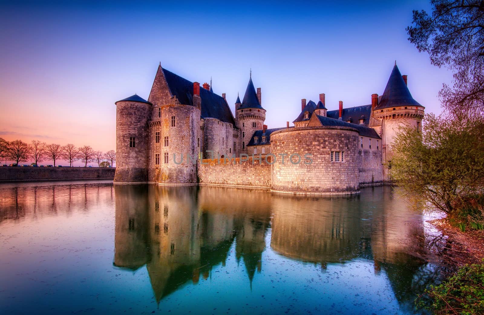 Famous medieval castle Sully sur Loire, Loire valley, France. by CreativePhotoSpain