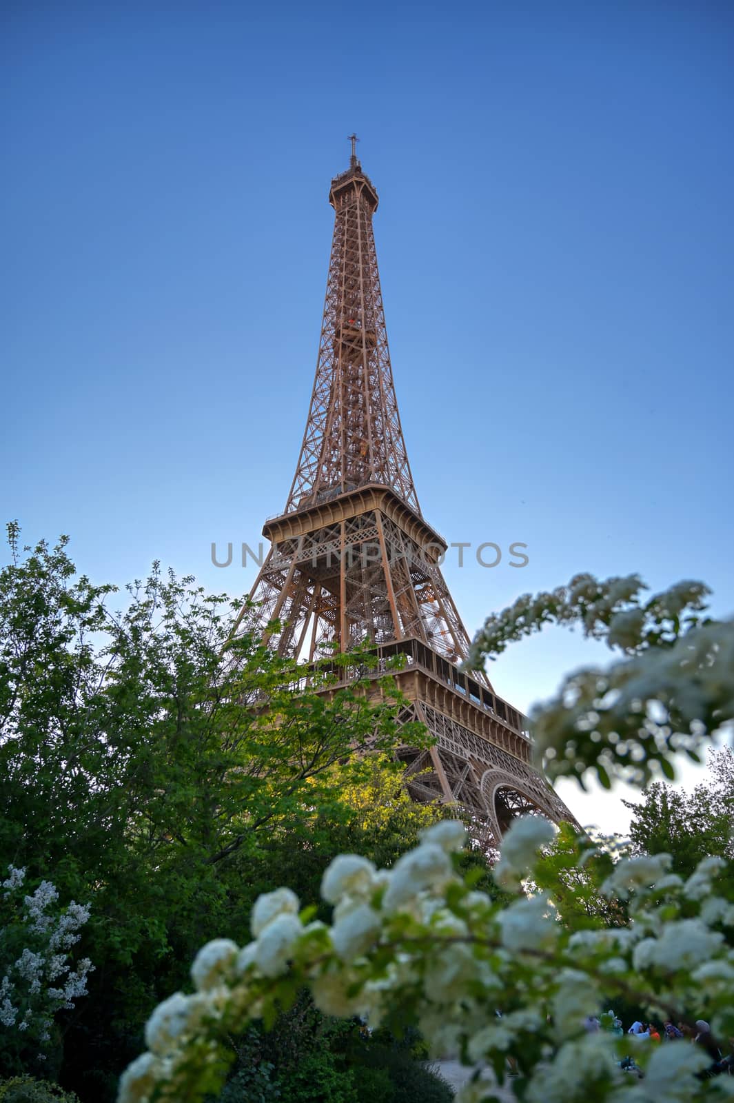 The Eiffel Tower across the River Seine in Paris, France.