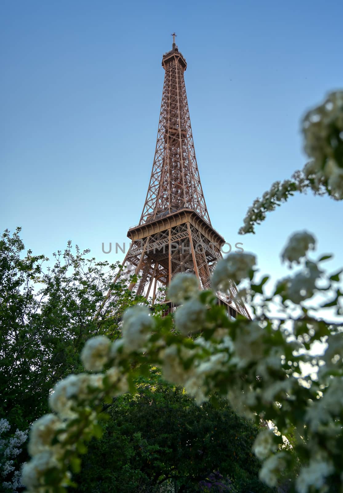 Eiffel Tower across the River Seine in Paris, France by jbyard22