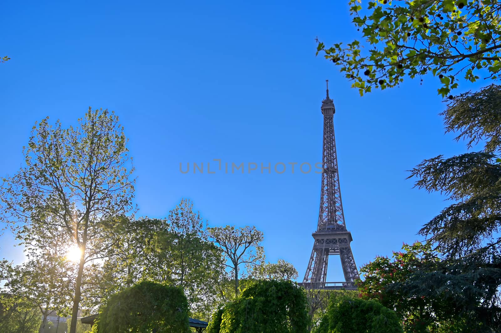 A view of the Eiffel Tower in Paris, France.