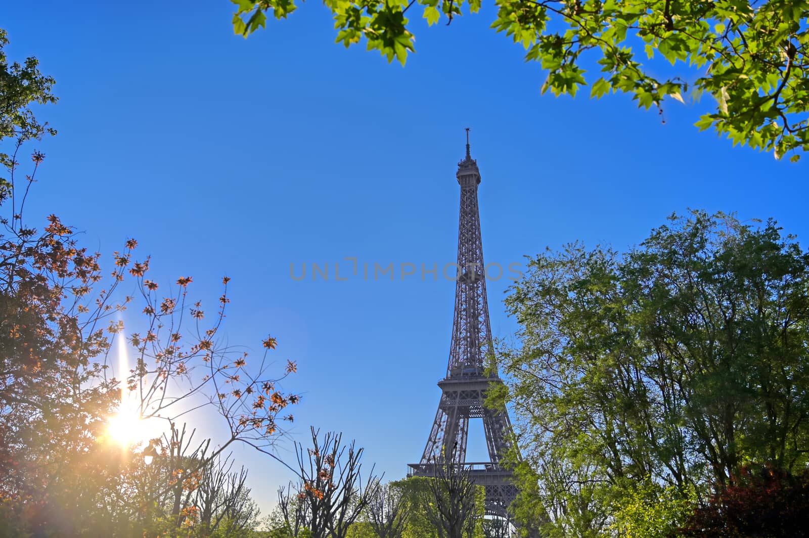 A view of the Eiffel Tower in Paris, France.