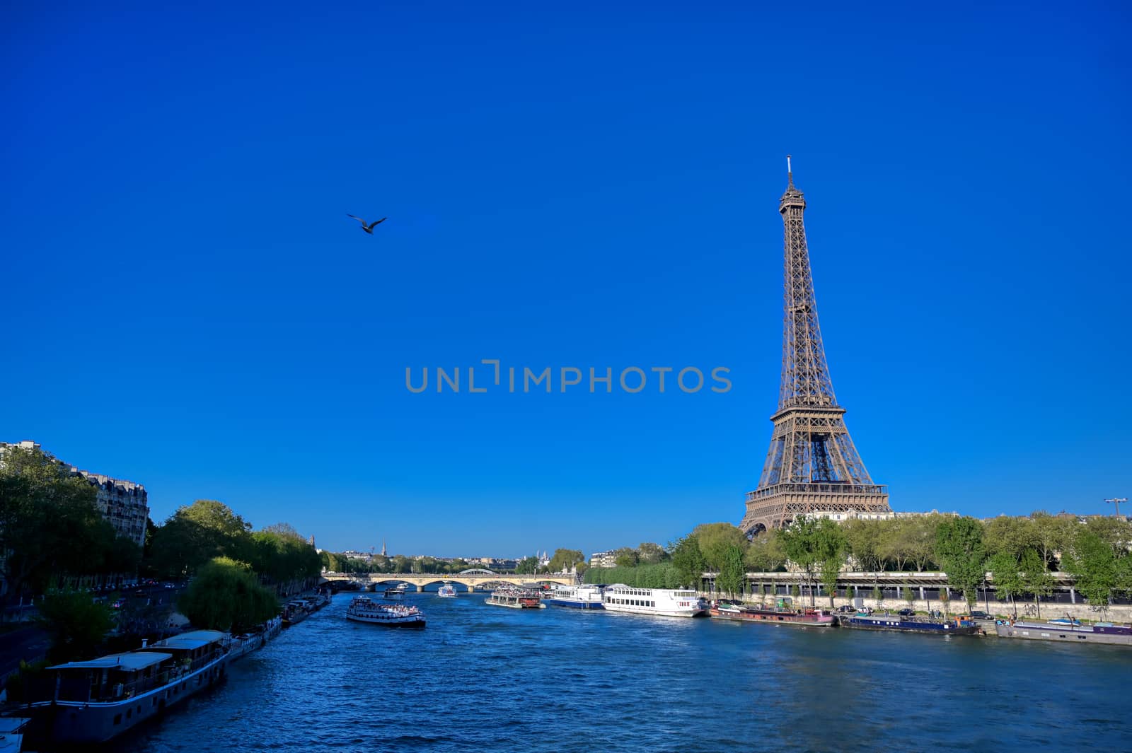 A view of the Eiffel Tower in Paris, France.