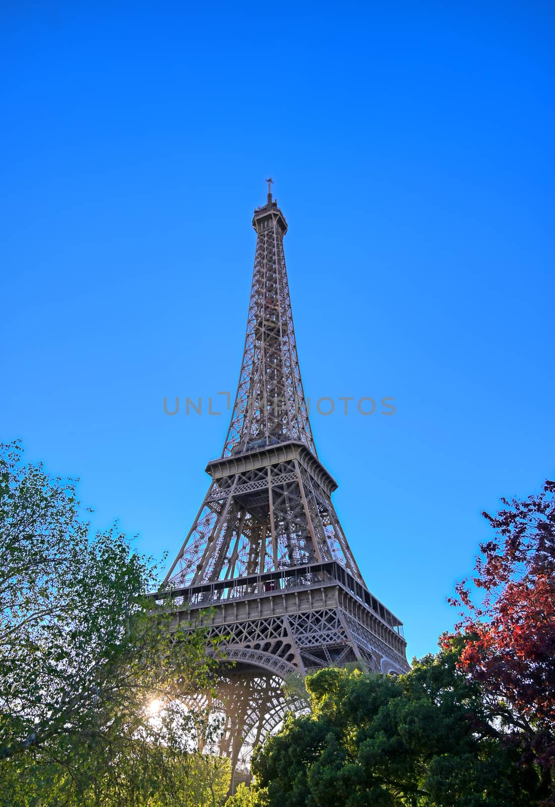 Eiffel Tower in Paris, France by jbyard22