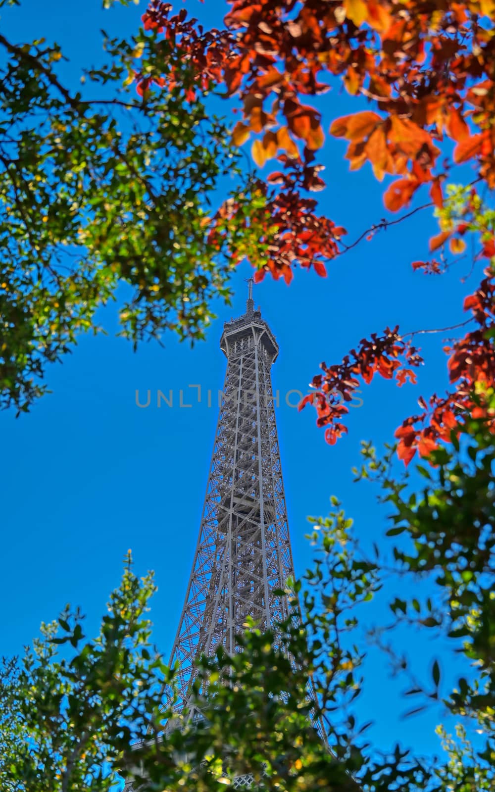 A view of the Eiffel Tower in Paris, France.