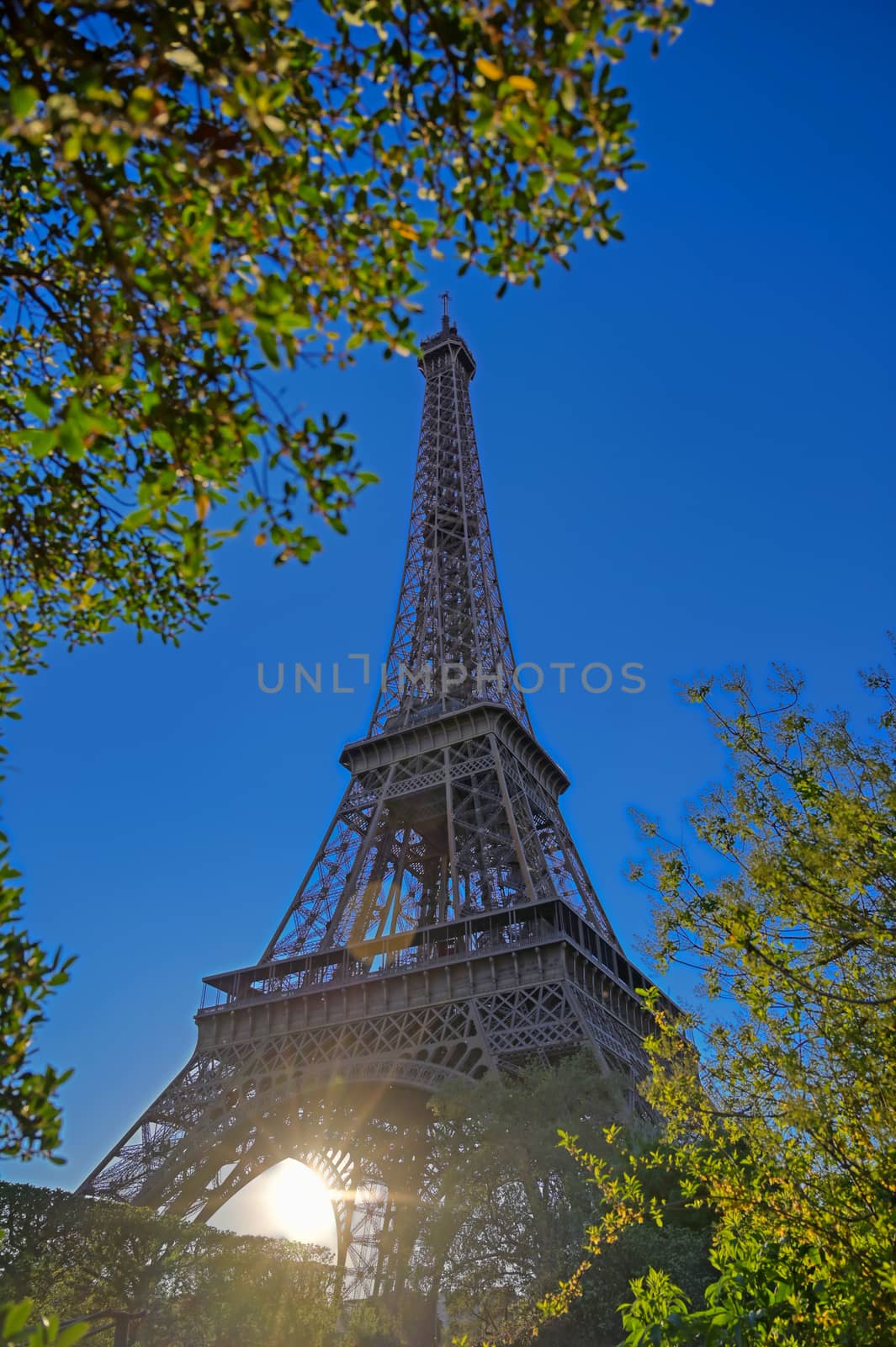 Eiffel Tower in Paris, France by jbyard22