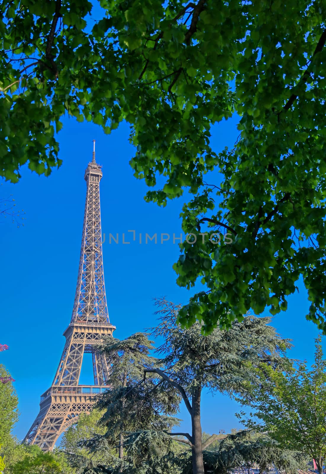 A view of the Eiffel Tower in Paris, France.