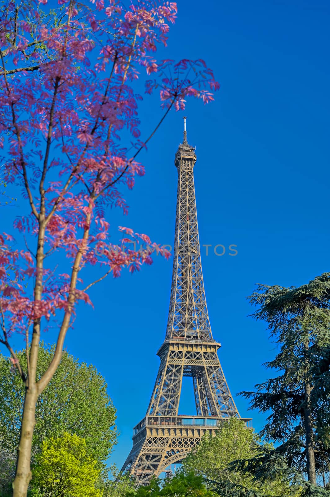 A view of the Eiffel Tower in Paris, France.