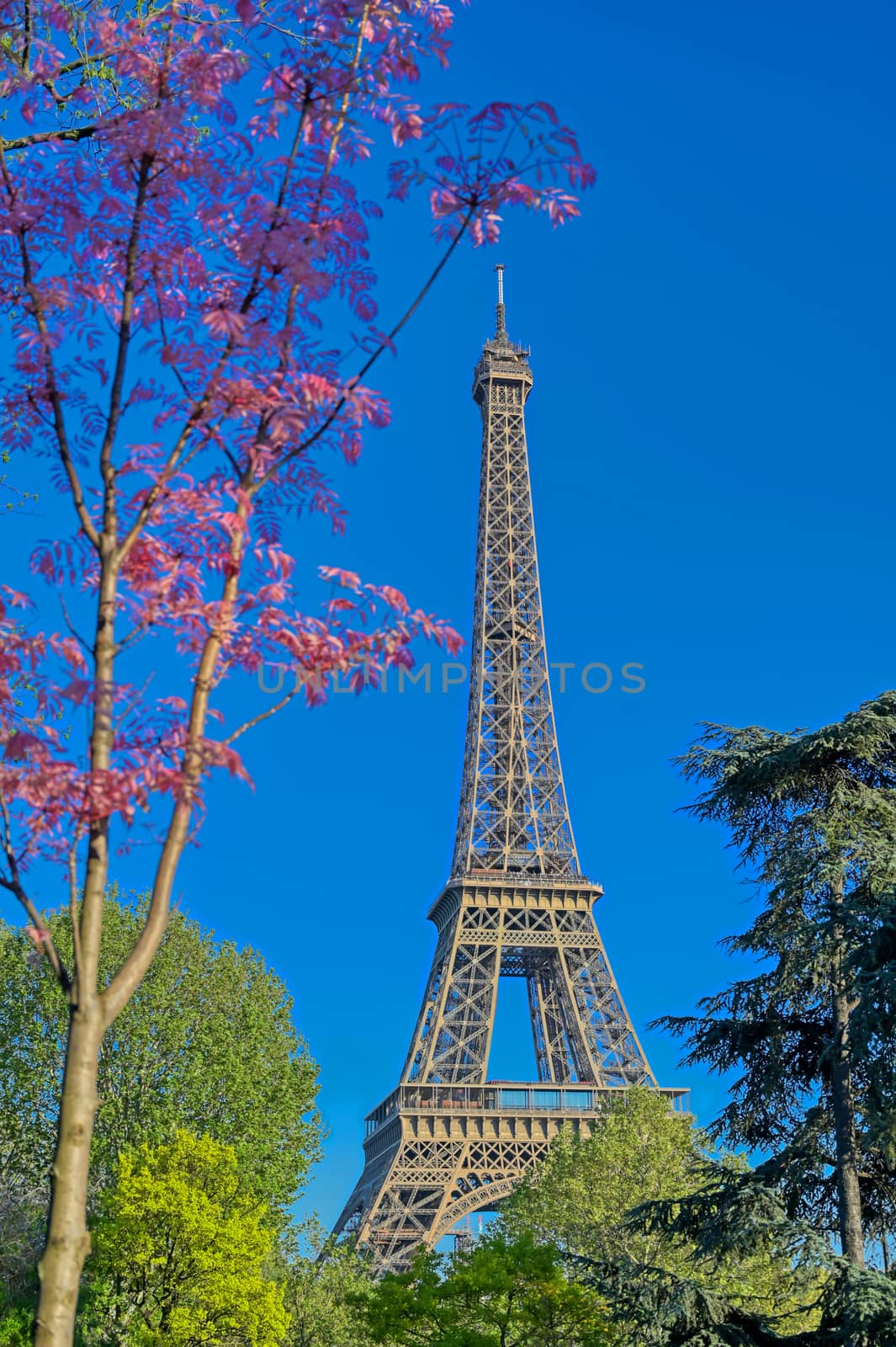 A view of the Eiffel Tower in Paris, France.