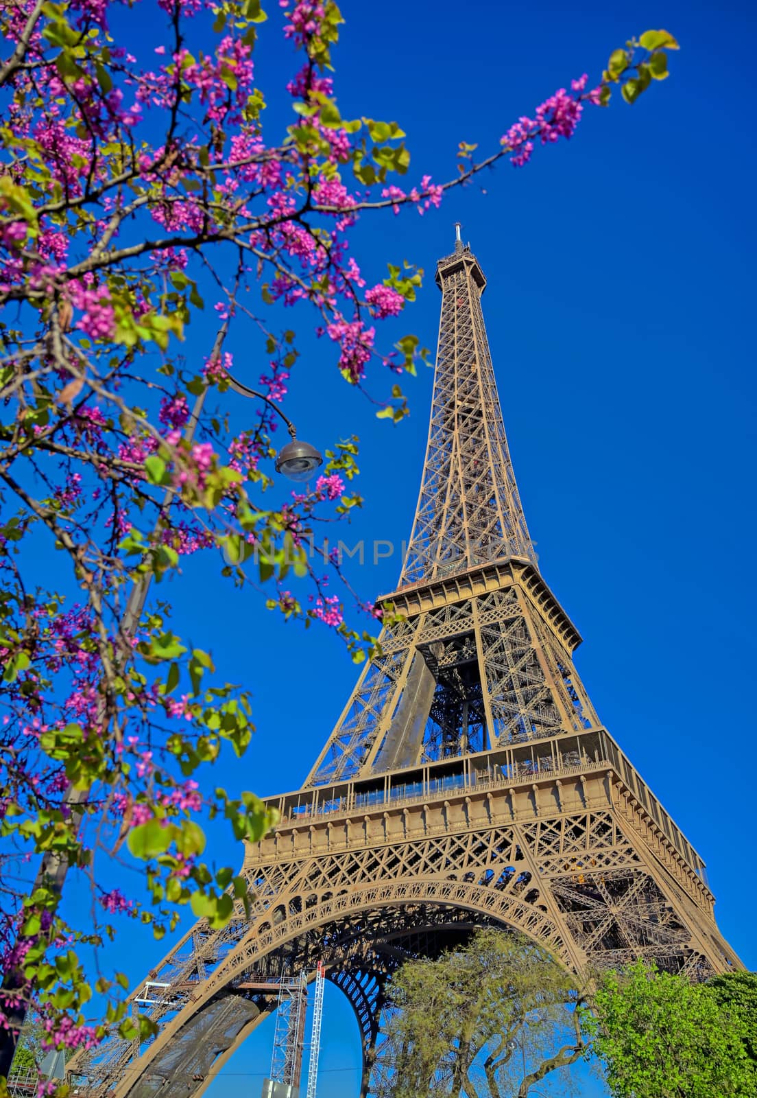 A view of the Eiffel Tower in Paris, France.