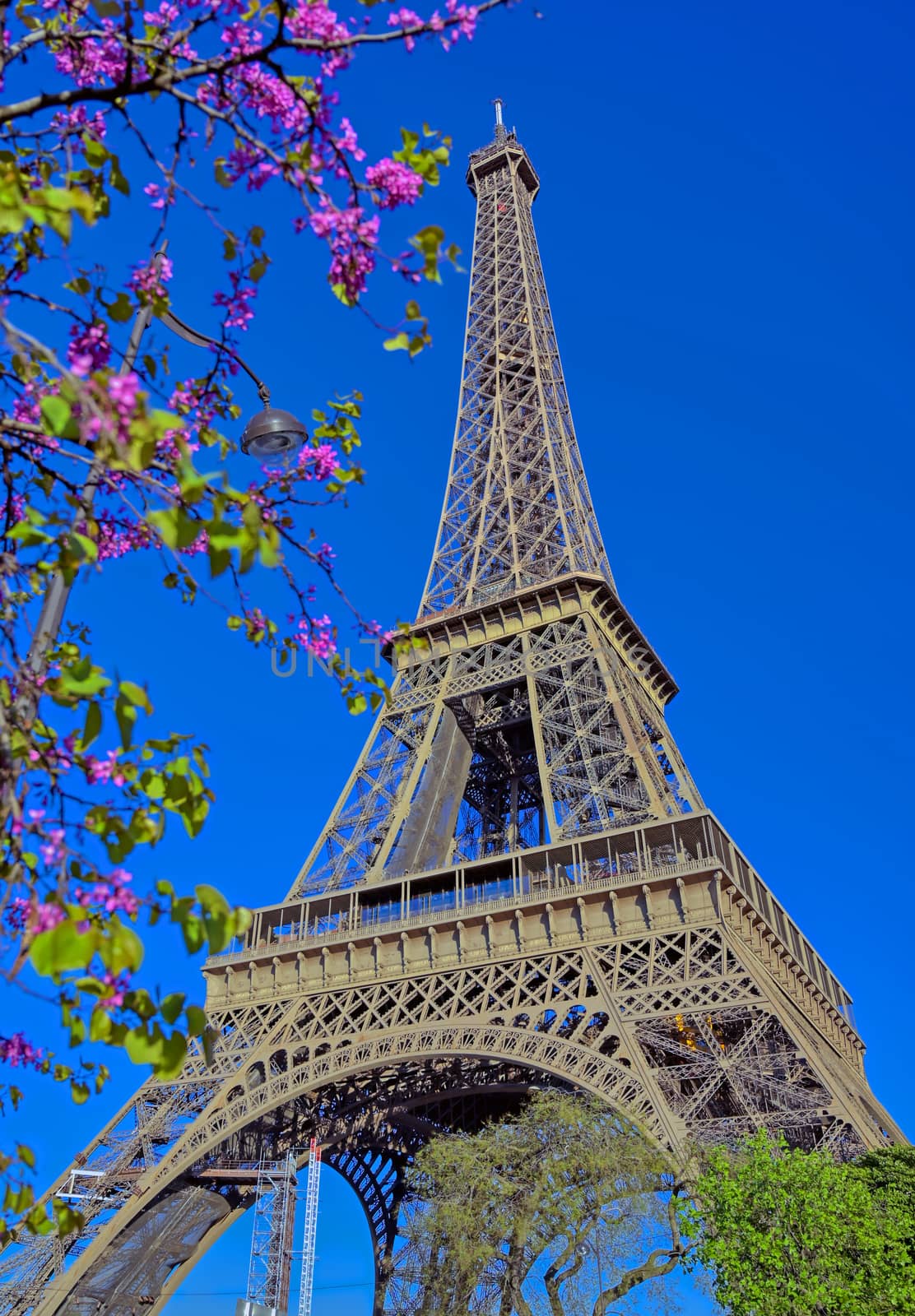 A view of the Eiffel Tower in Paris, France.