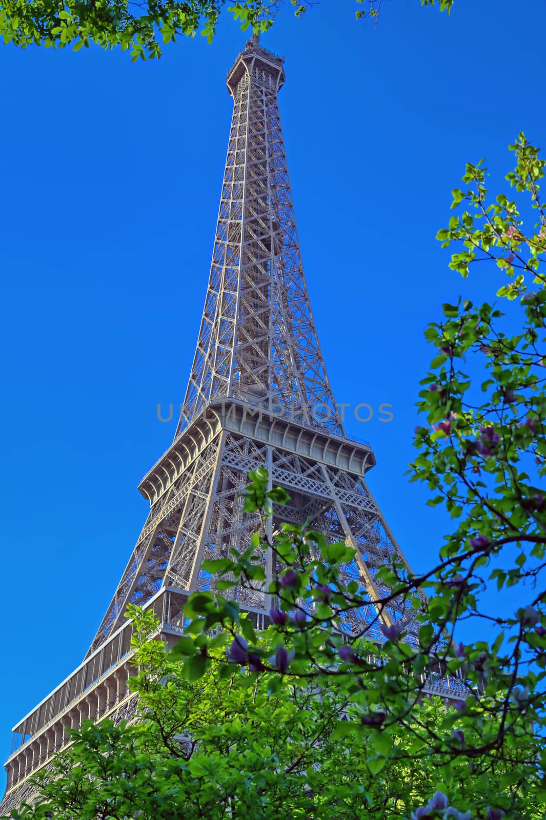 Eiffel Tower in Paris, France by jbyard22