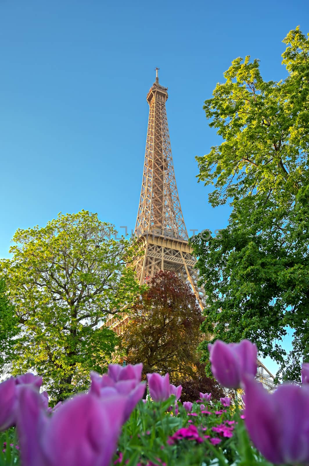 A view of the Eiffel Tower in Paris, France.