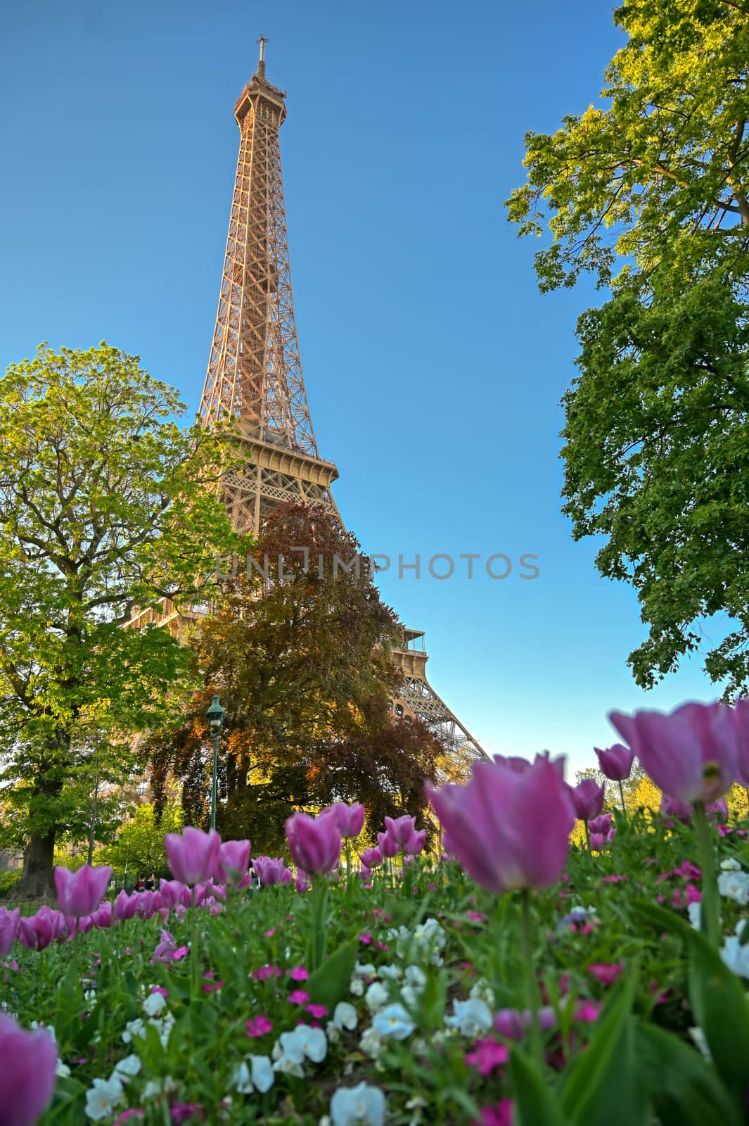 A view of the Eiffel Tower in Paris, France.