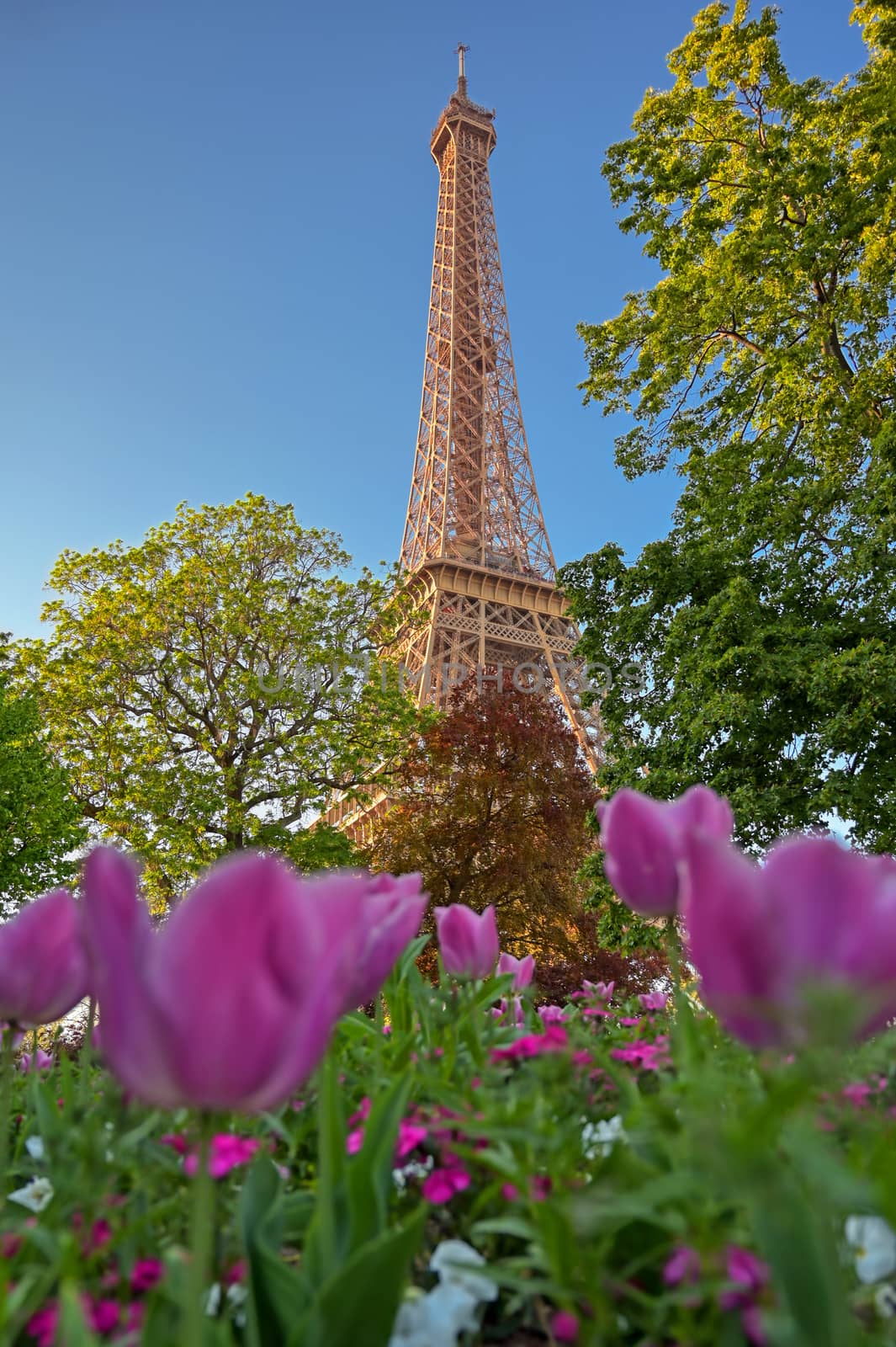 A view of the Eiffel Tower in Paris, France.