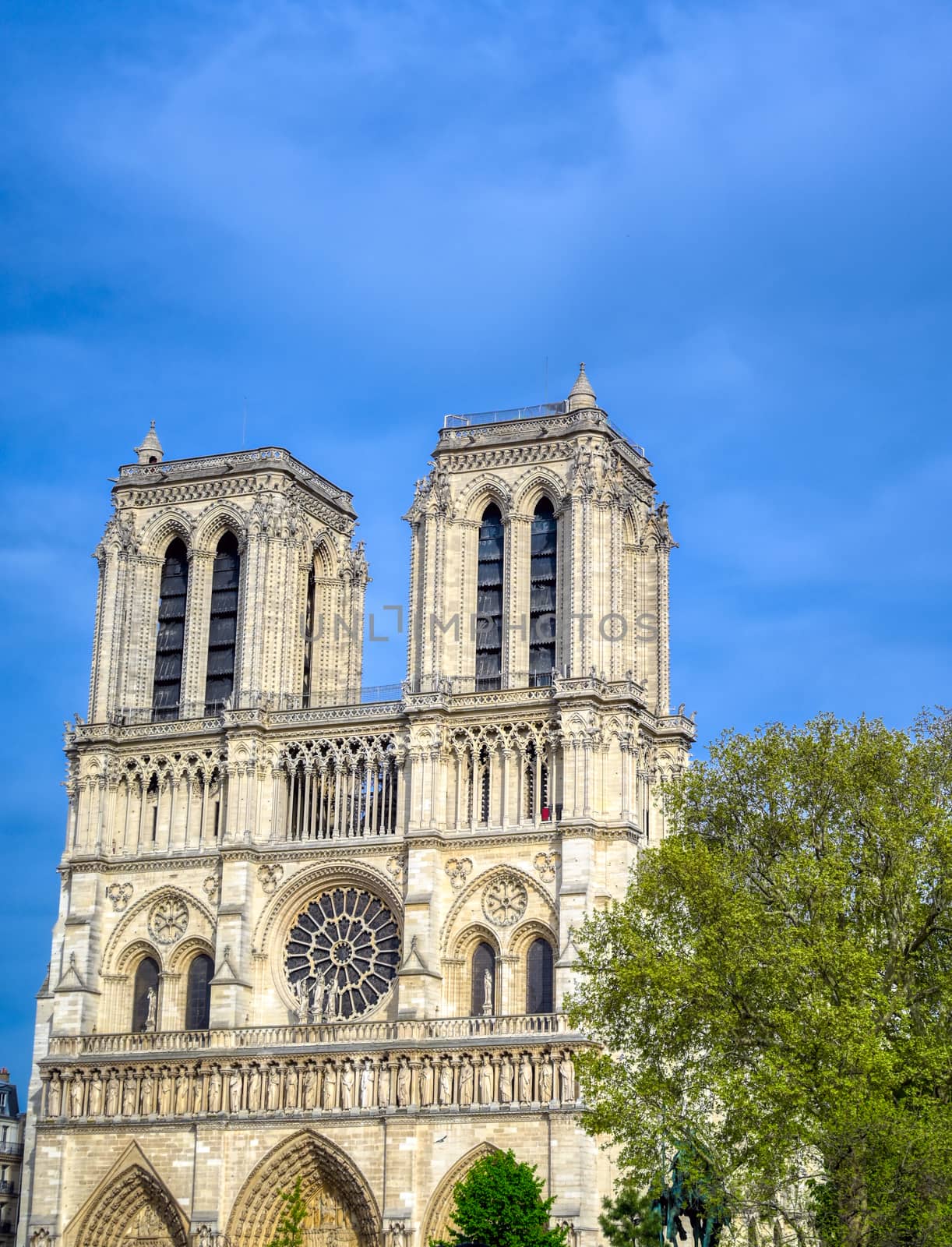 Paris, France - April 21, 2019 - Notre Dame Cathedral on the Seine River in Paris, France after the fire on April 15, 2019.